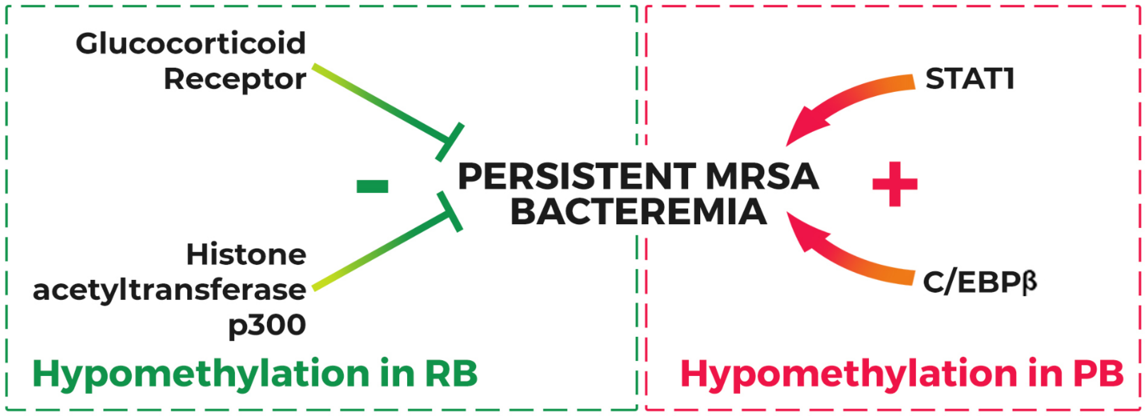 Antibiotics 12 00455 g002