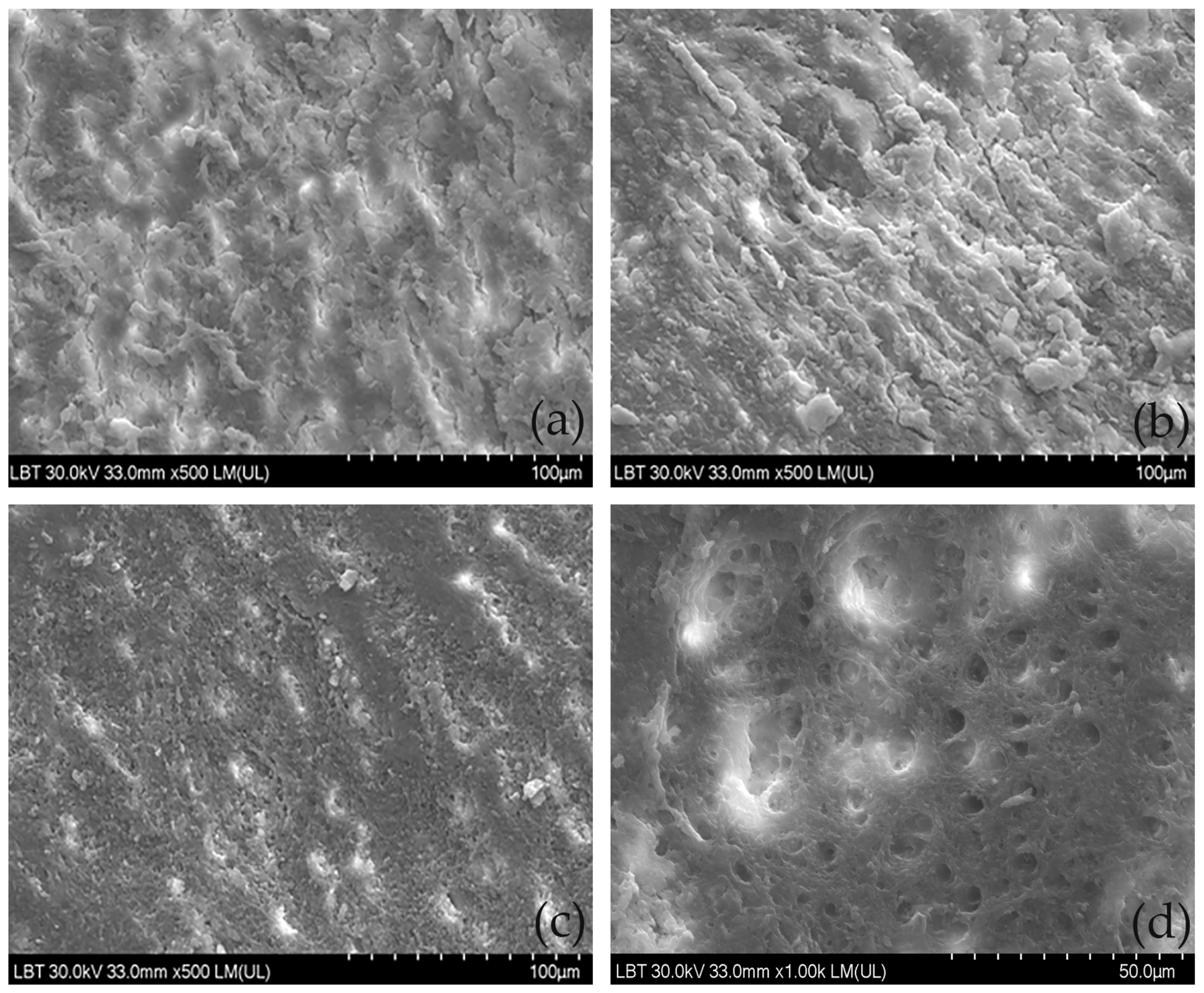 Antibiotics 12 00456 g002