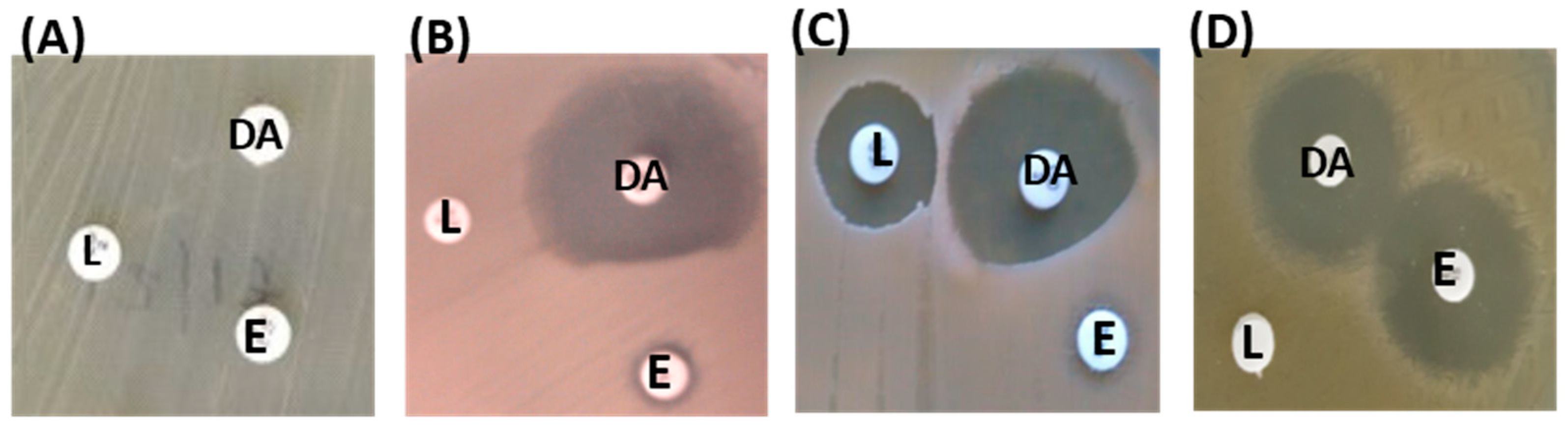 Antibiotics 12 00461 g004