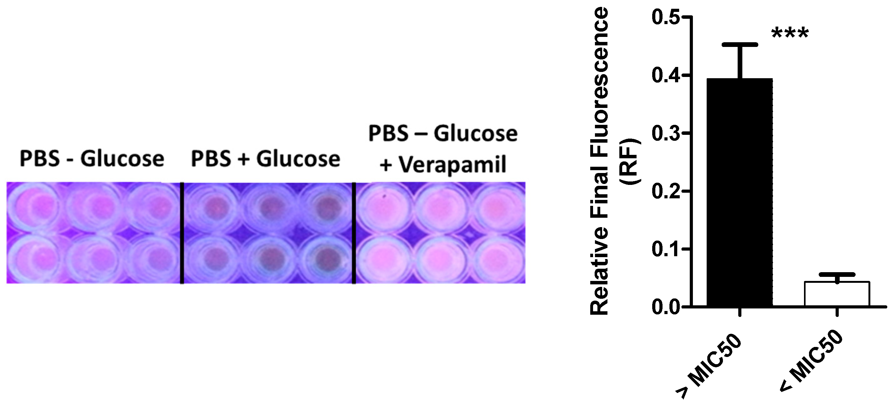 Antibiotics 12 00461 g009
