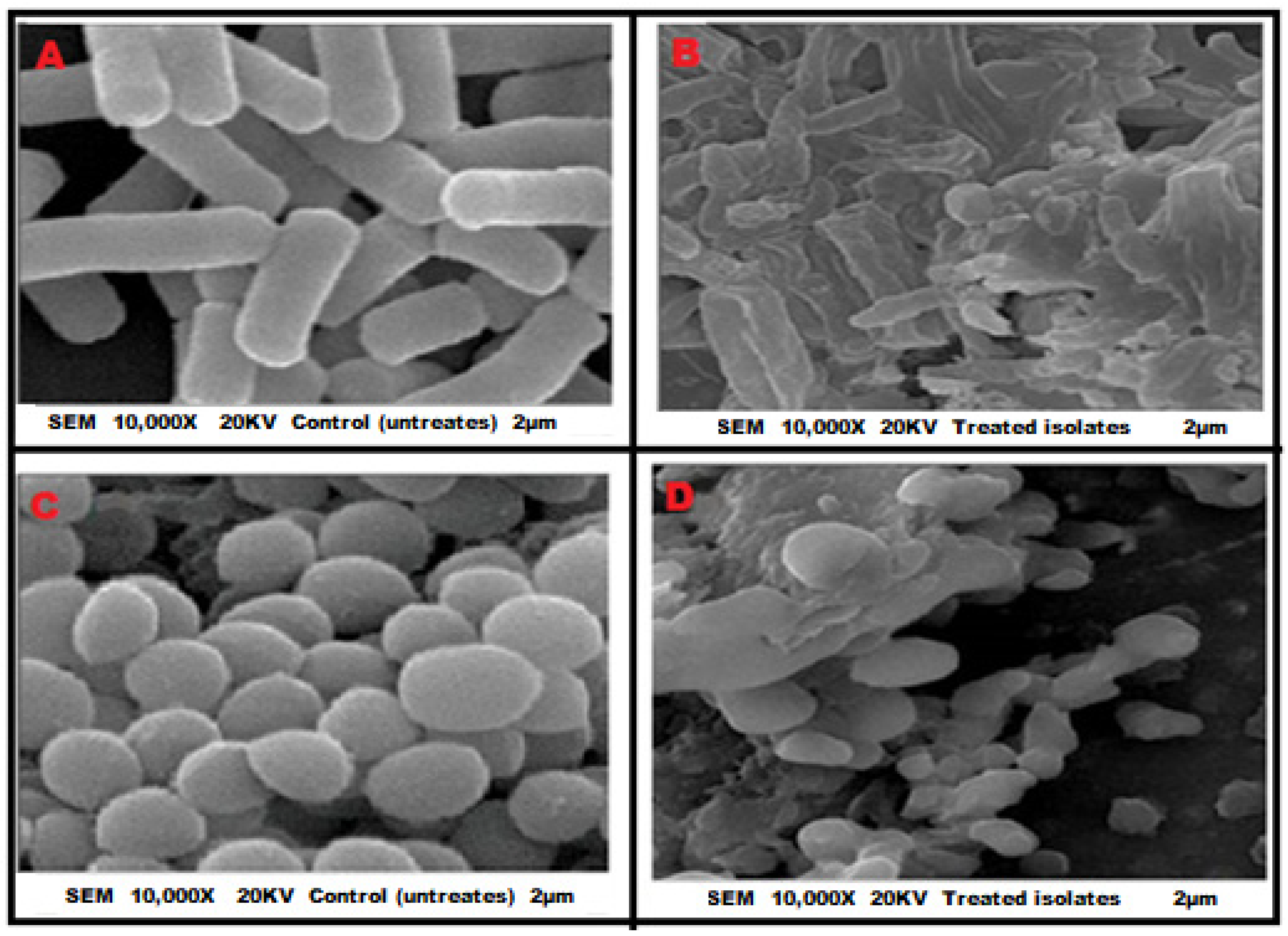 Antibiotics 12 00464 g002 Antibiotics 12 00464 g002