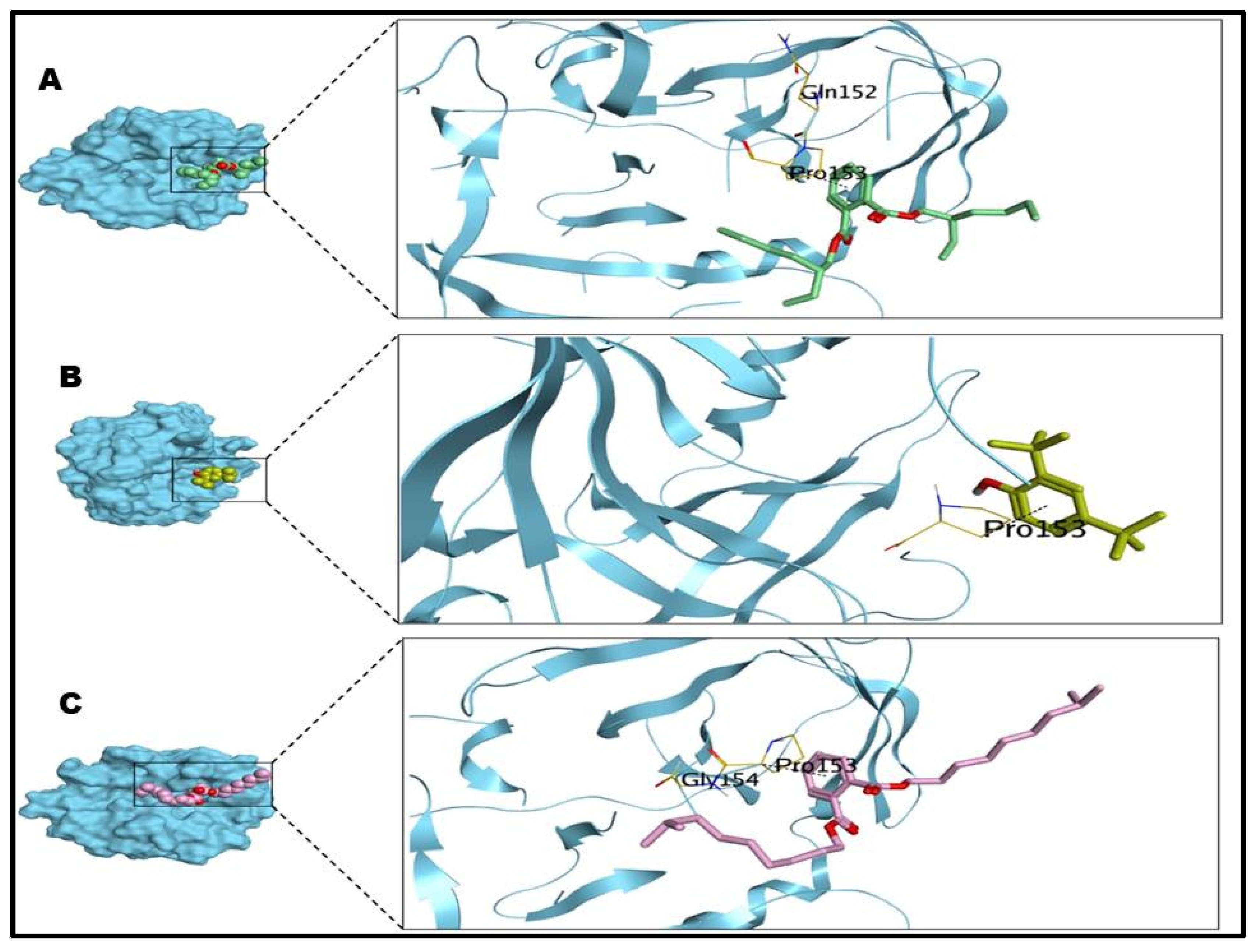 Antibiotics 12 00464 g005 Antibiotics 12 00464 g005