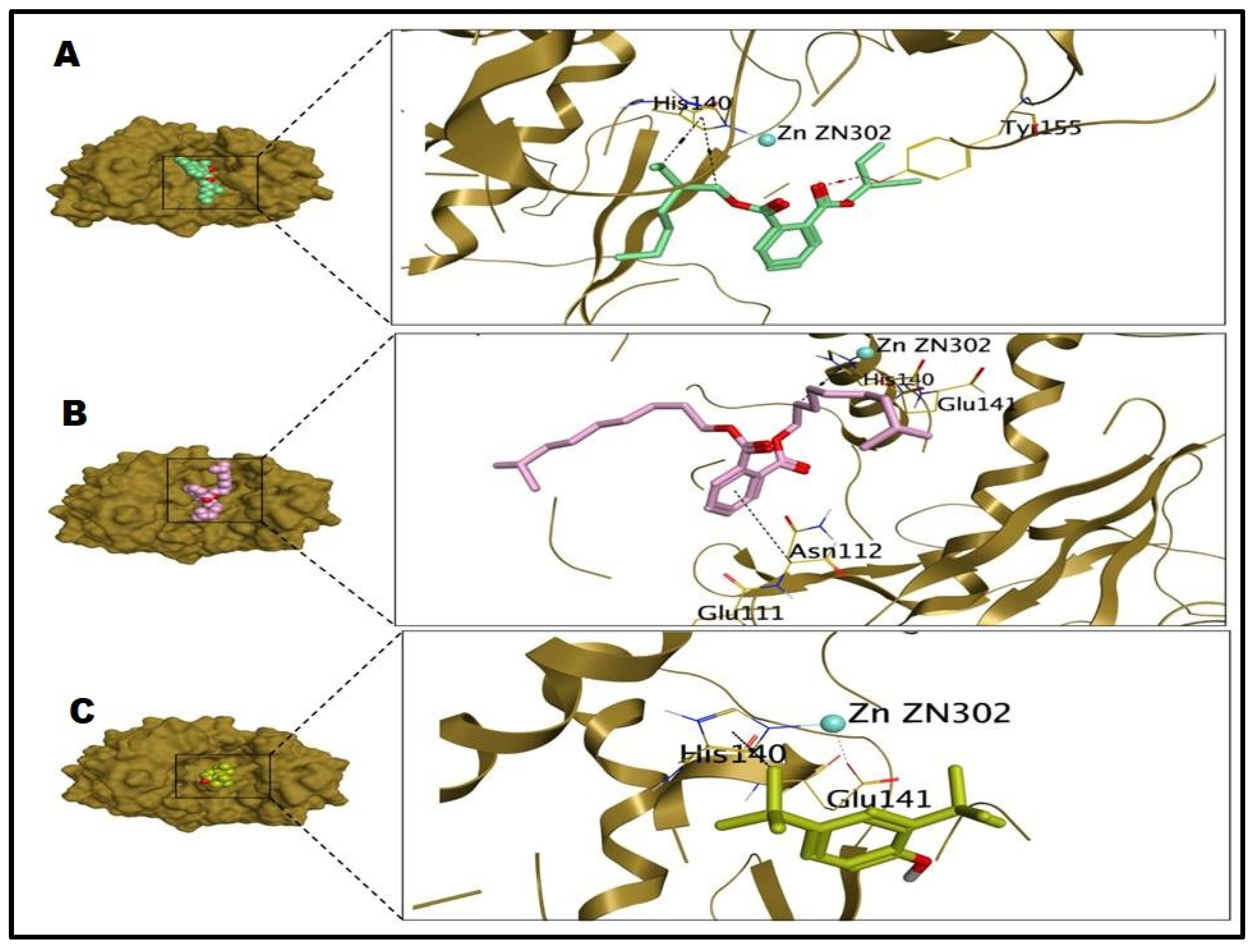 Antibiotics 12 00464 g006 Antibiotics 12 00464 g006