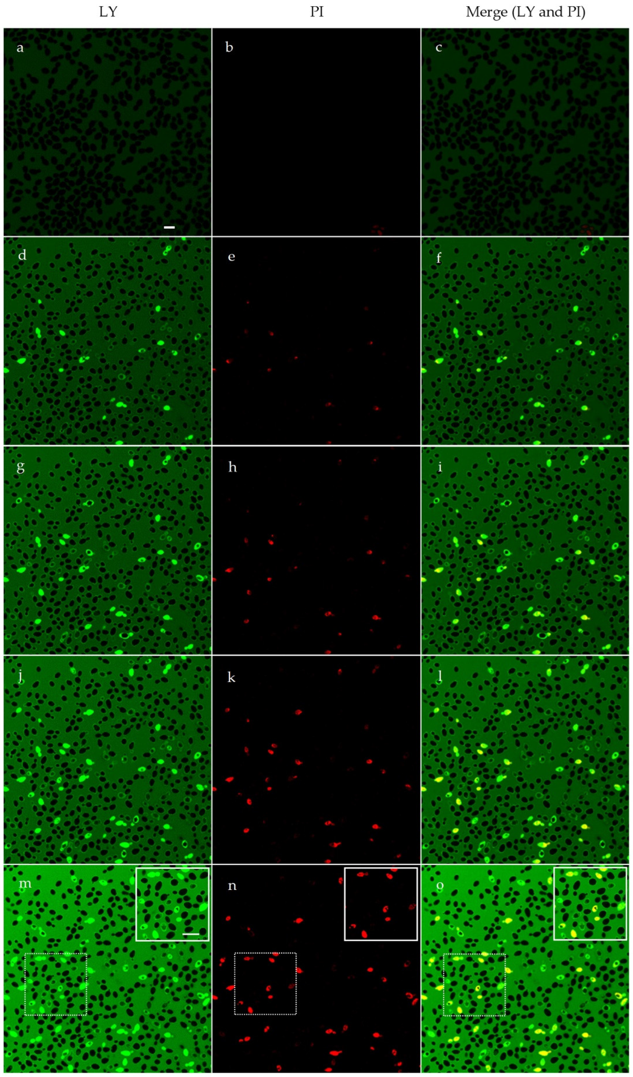 Antibiotics 12 00472 g003 Antibiotics 12 00472 g003