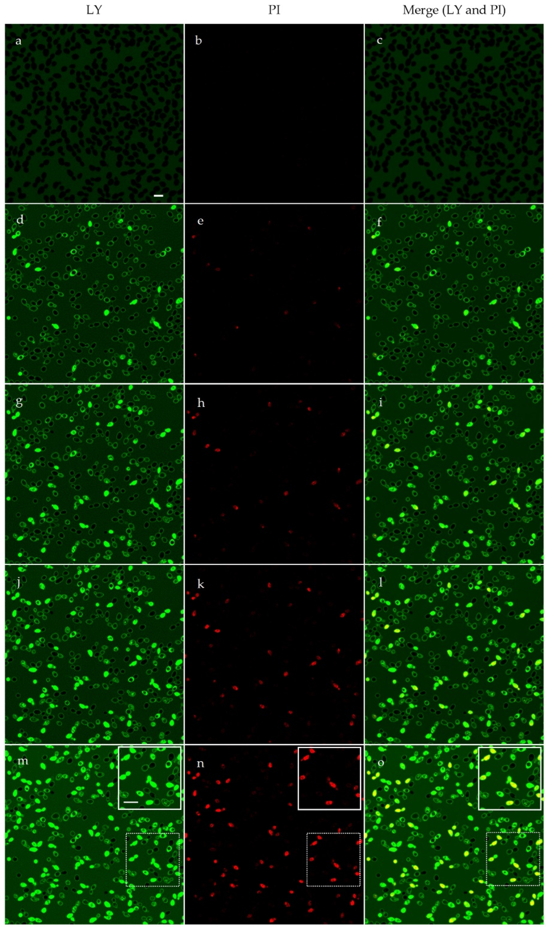 Antibiotics 12 00472 g004 Antibiotics 12 00472 g004