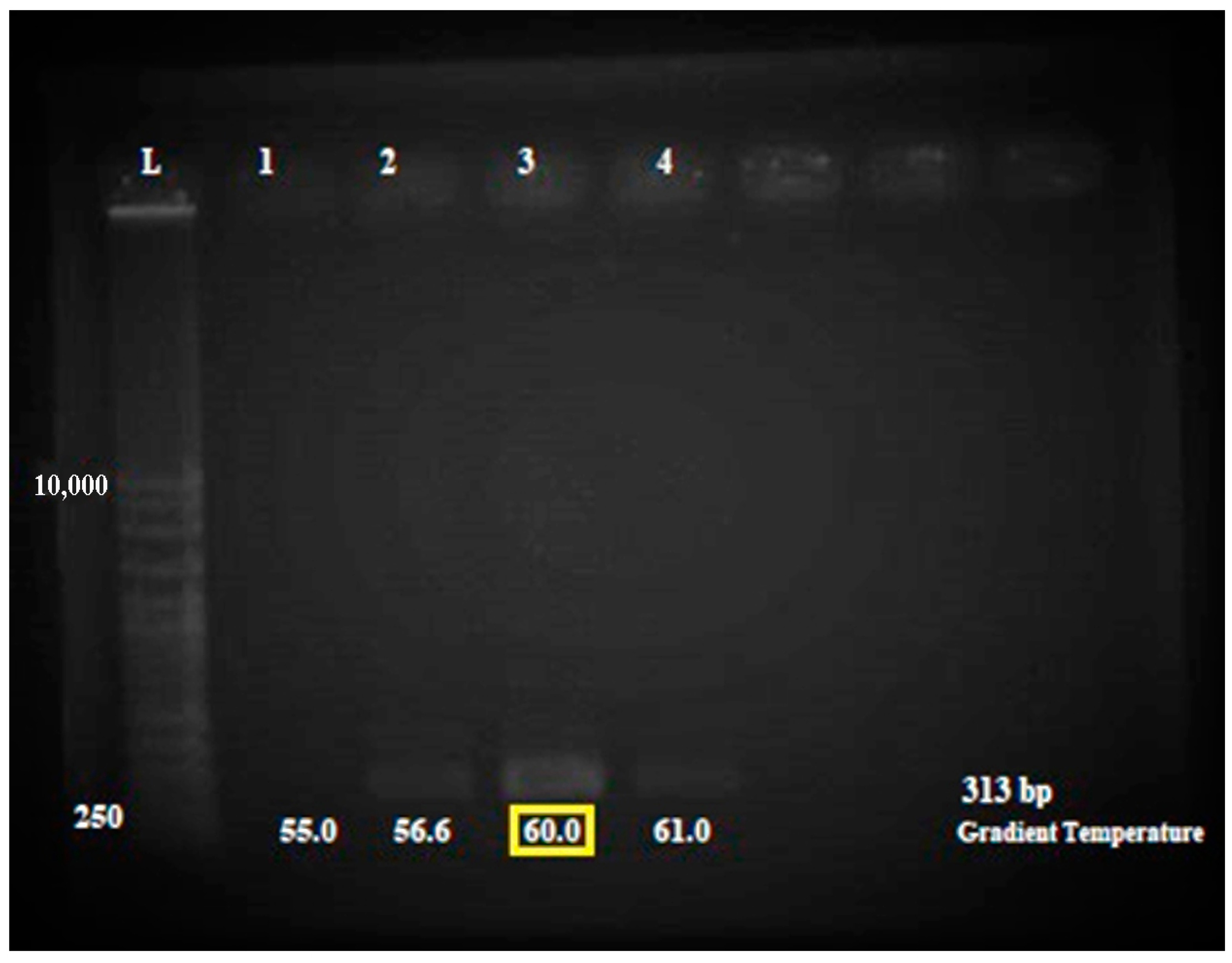 Antibiotics 12 00477 g002
