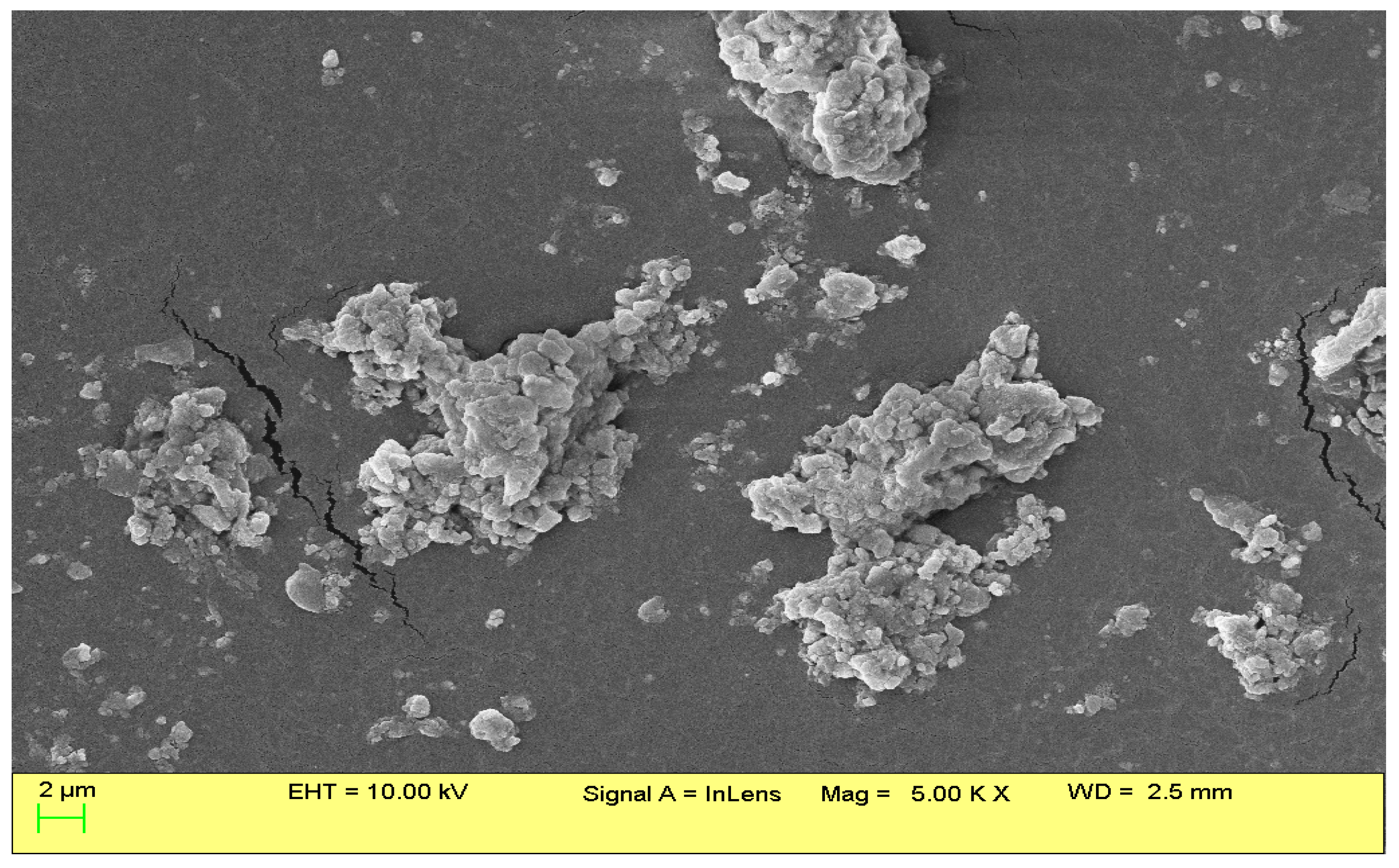 Antibiotics 12 00478 g001
