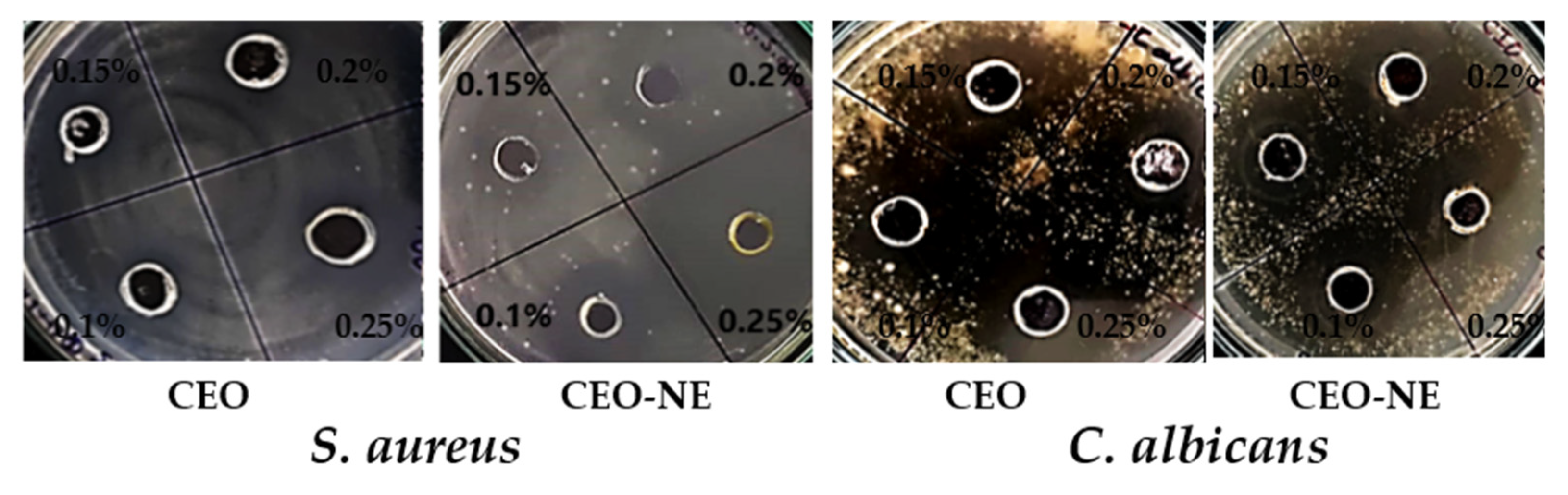 Antibiotics 12 00478 g003