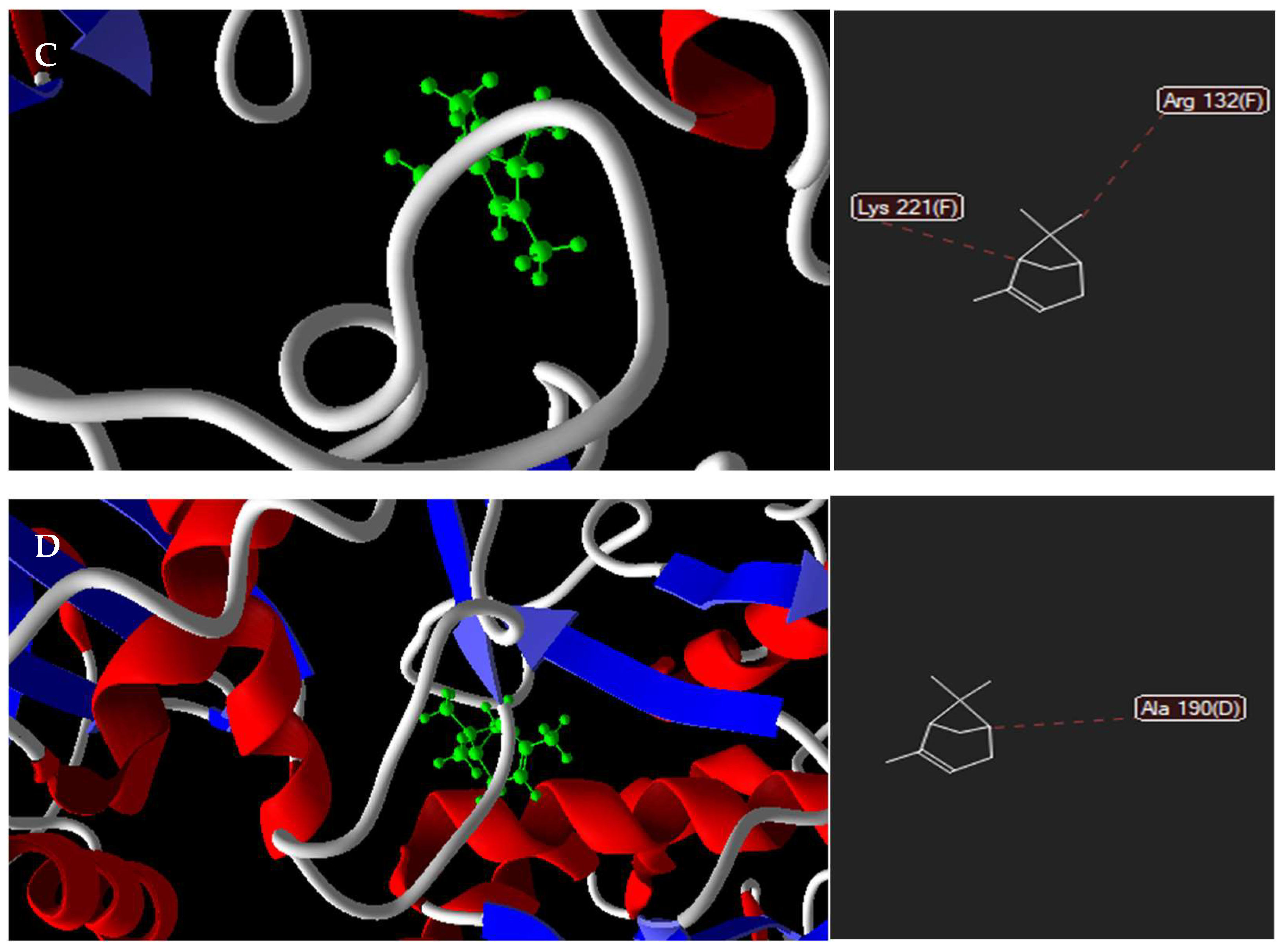 Antibiotics 12 00480 g001b