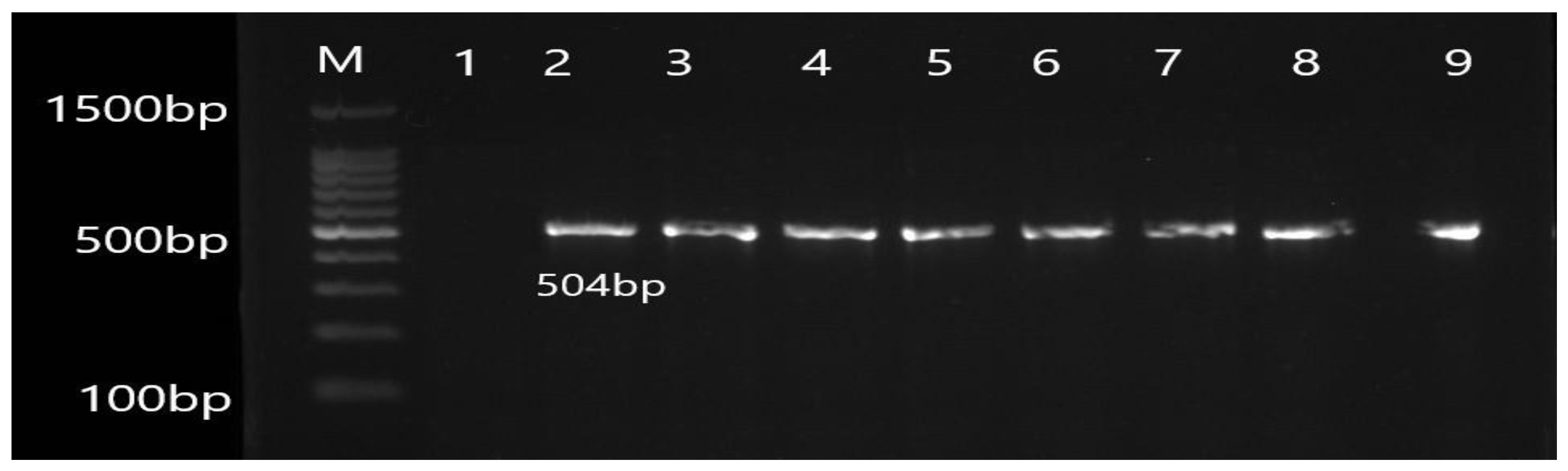 Antibiotics 12 00486 g001 Antibiotics 12 00486 g001