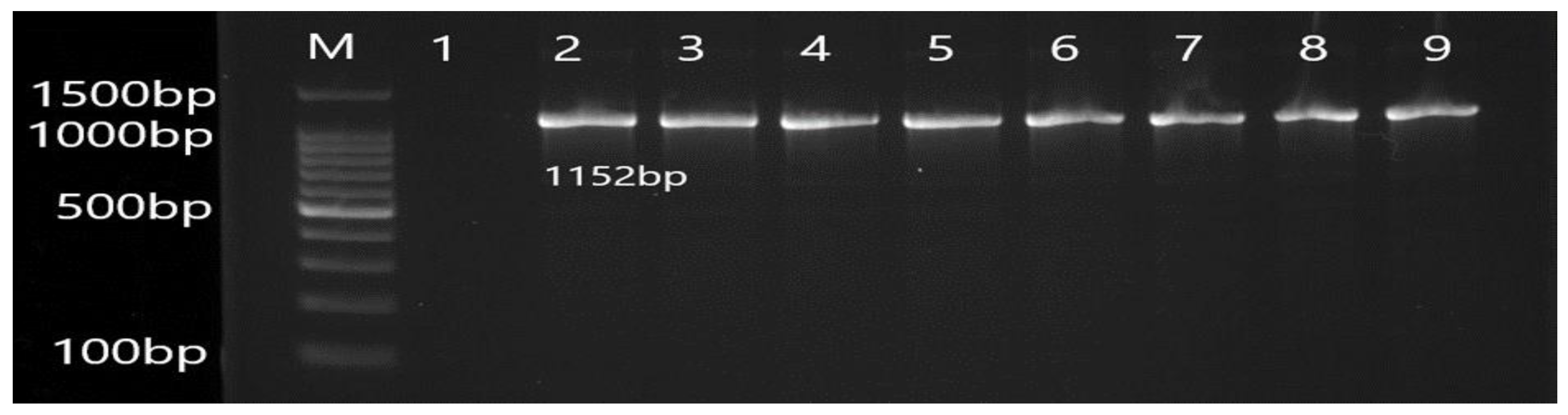Antibiotics 12 00486 g002 Antibiotics 12 00486 g002