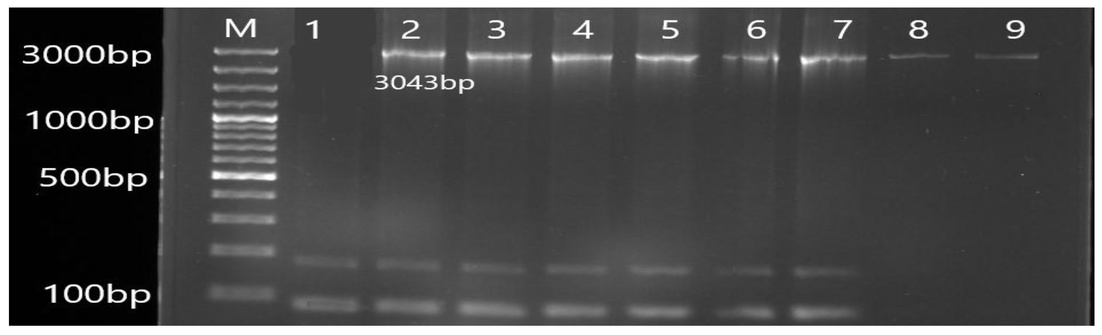 Antibiotics 12 00486 g003 Antibiotics 12 00486 g003
