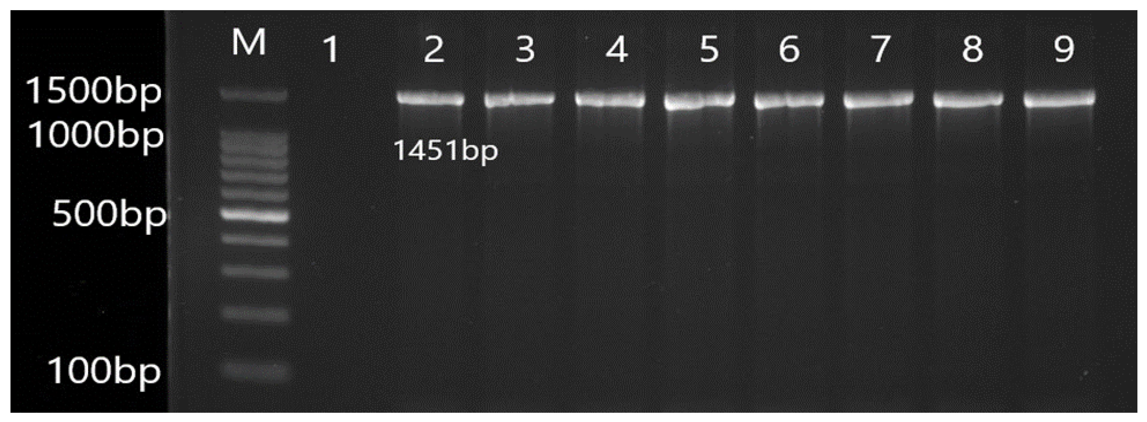 Antibiotics 12 00486 g004 Antibiotics 12 00486 g004