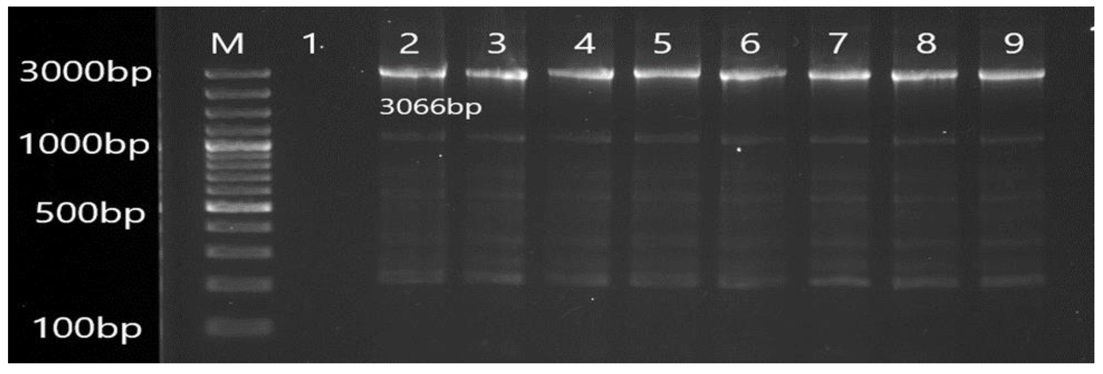 Antibiotics 12 00486 g007 Antibiotics 12 00486 g007