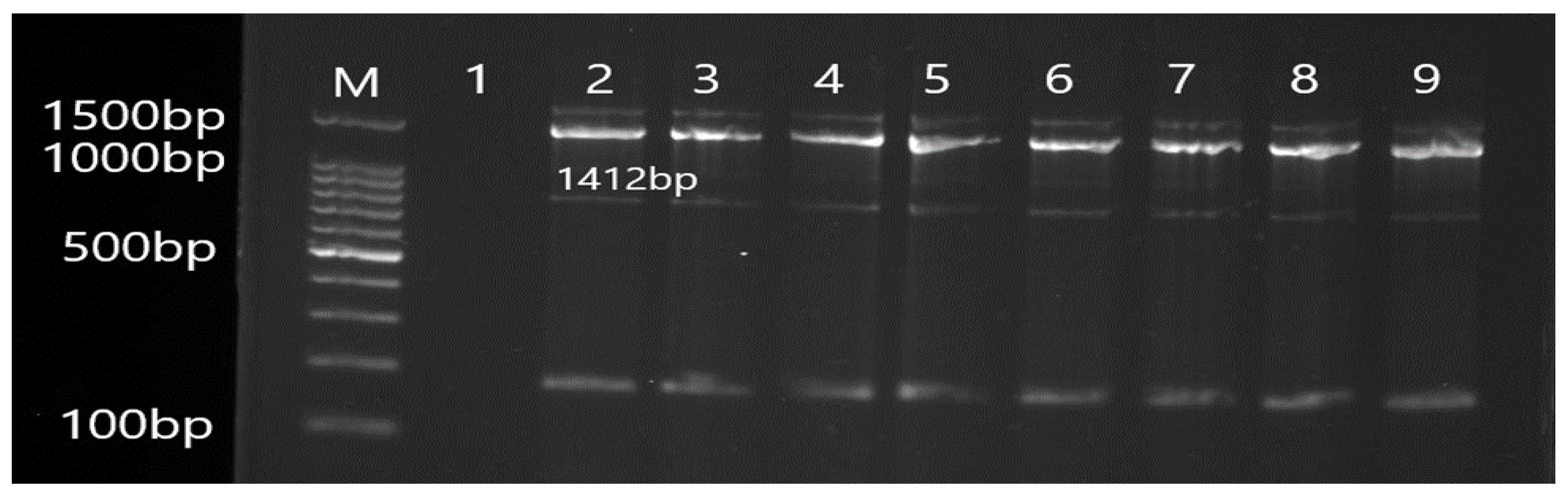 Antibiotics 12 00486 g008 Antibiotics 12 00486 g008