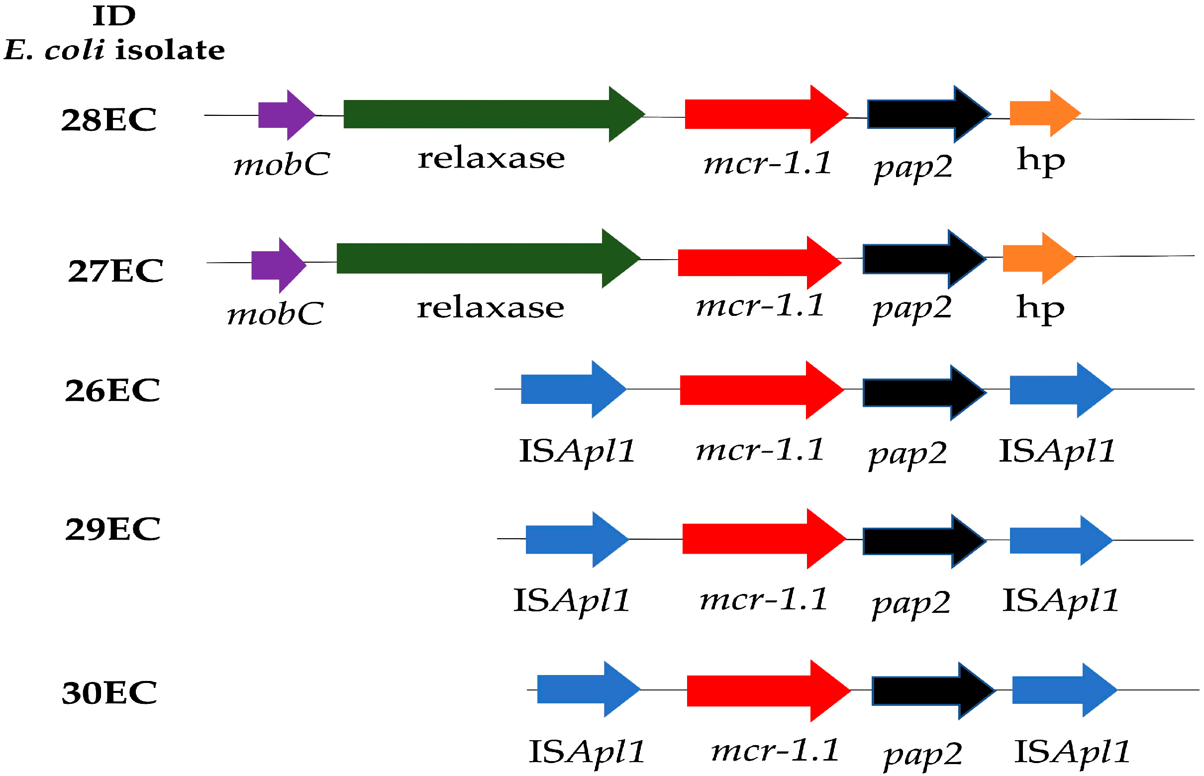 Antibiotics 12 00488 g001 Antibiotics 12 00488 g001