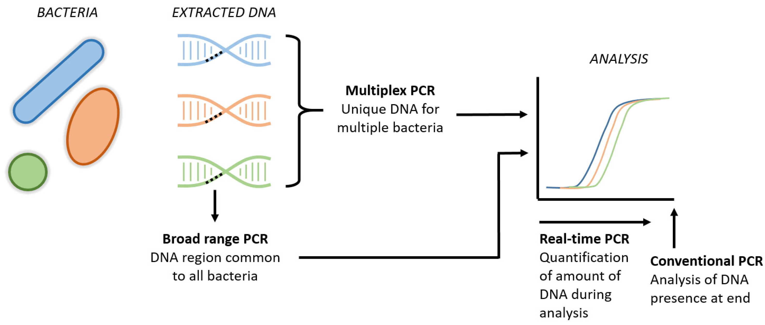 Antibiotics 12 00489 g002 Antibiotics 12 00489 g002