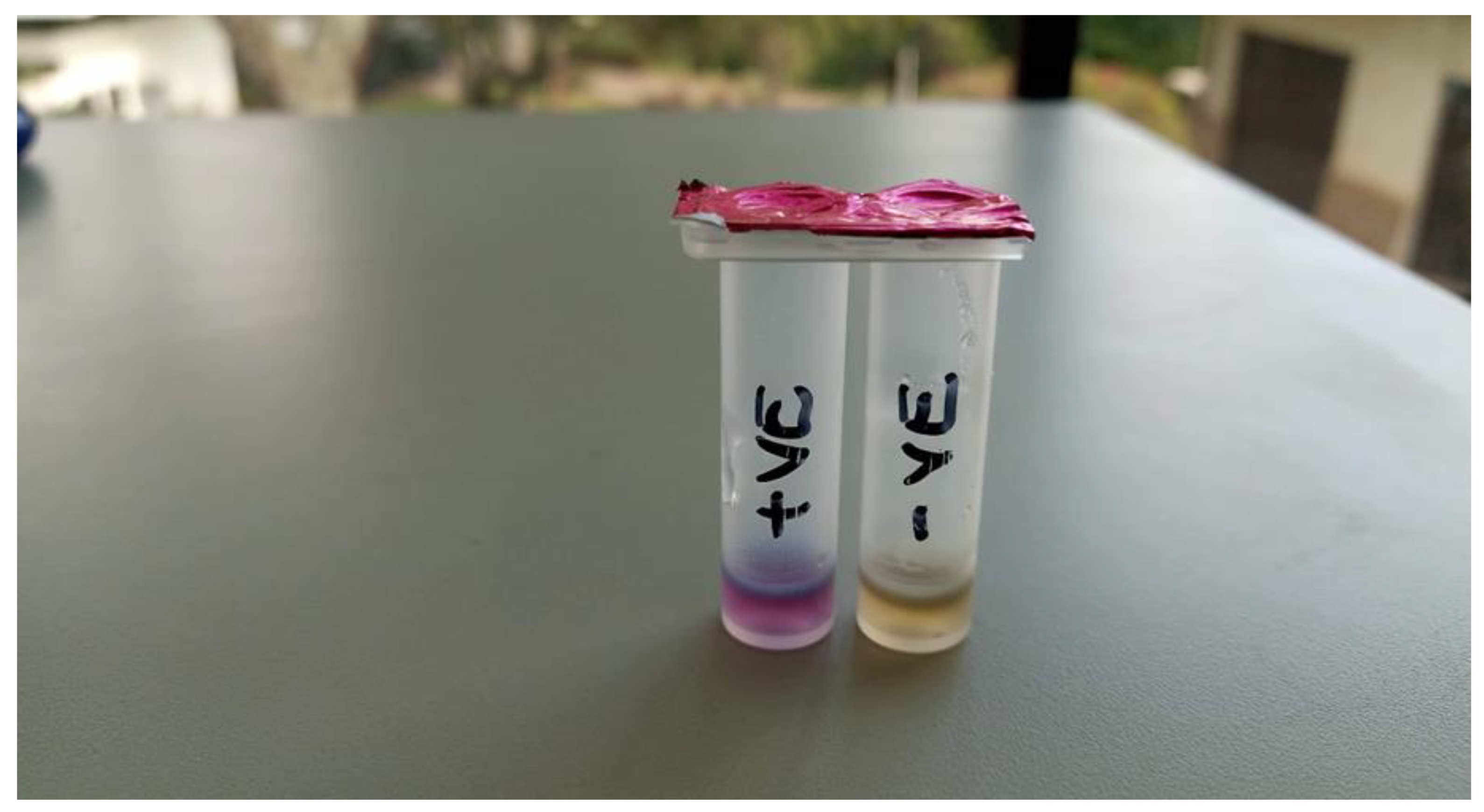 Antibiotics 12 00492 g001 Antibiotics 12 00492 g001