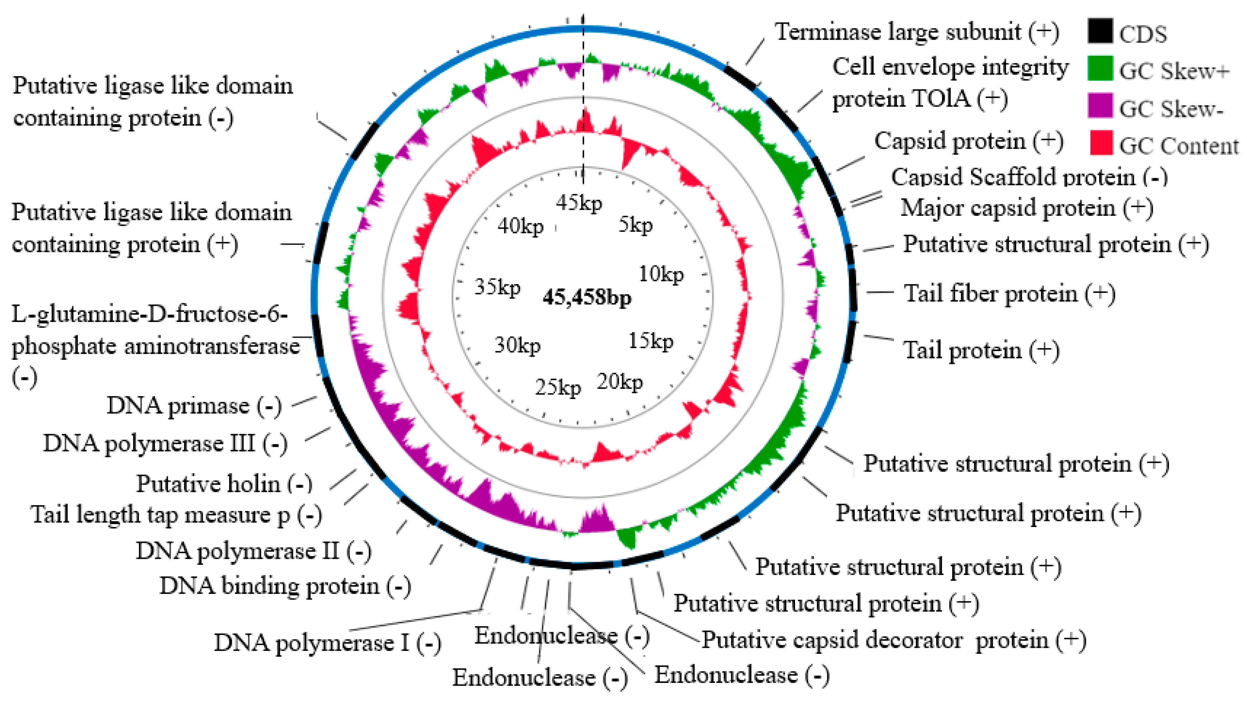 Antibiotics 12 00497 g005 Antibiotics 12 00497 g005