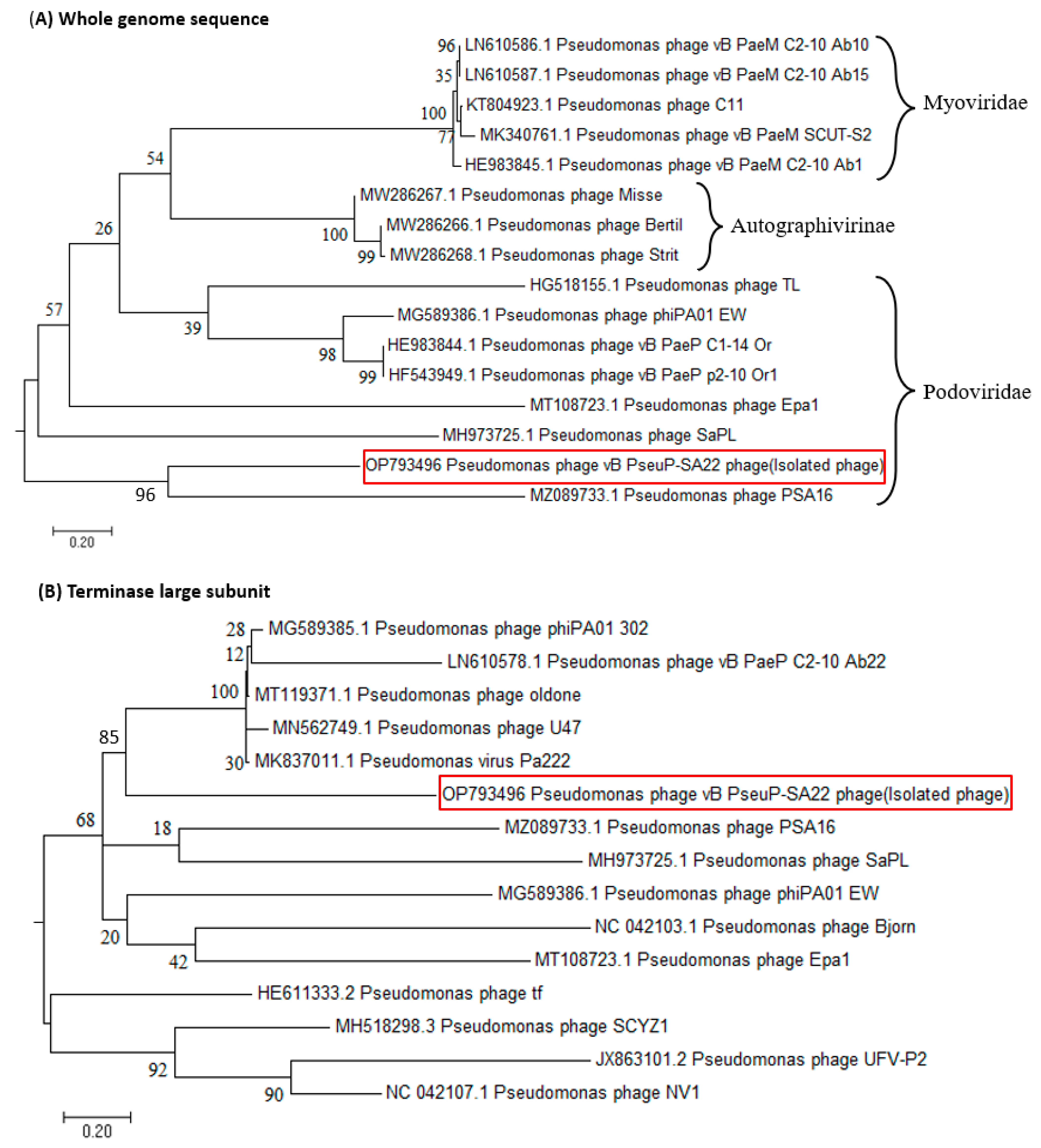 Antibiotics 12 00497 g006 Antibiotics 12 00497 g006