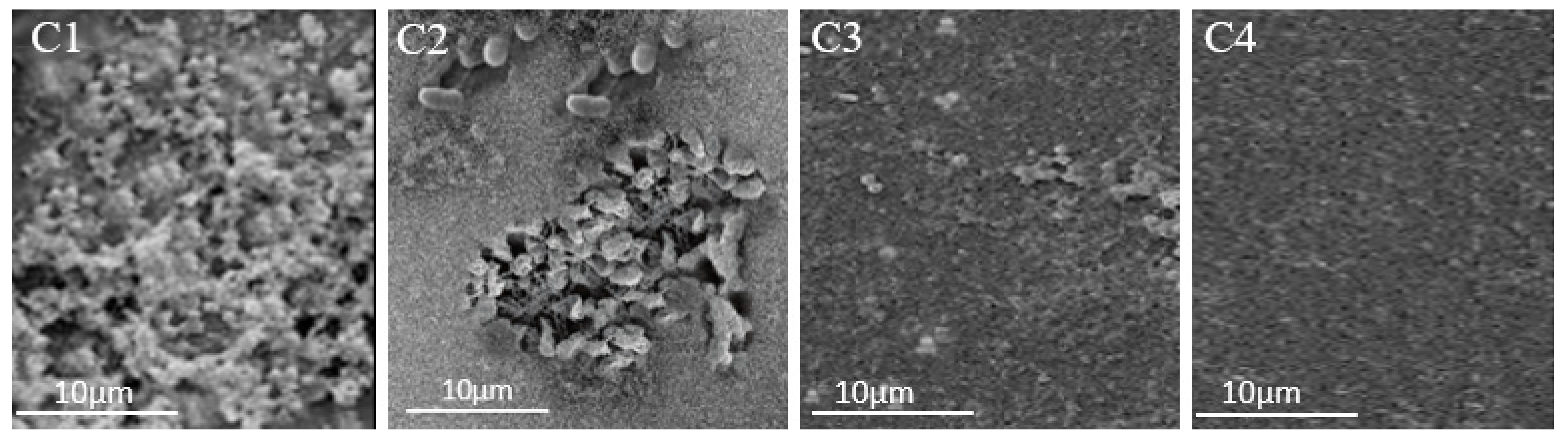 Antibiotics 12 00497 g008b Antibiotics 12 00497 g008b