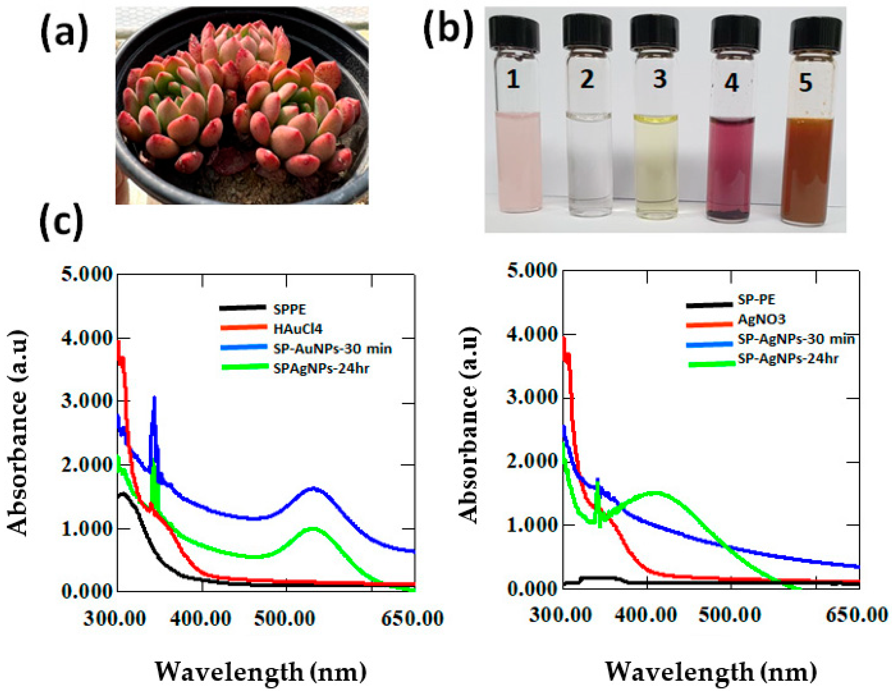 Antibiotics 12 00507 g001 Antibiotics 12 00507 g001
