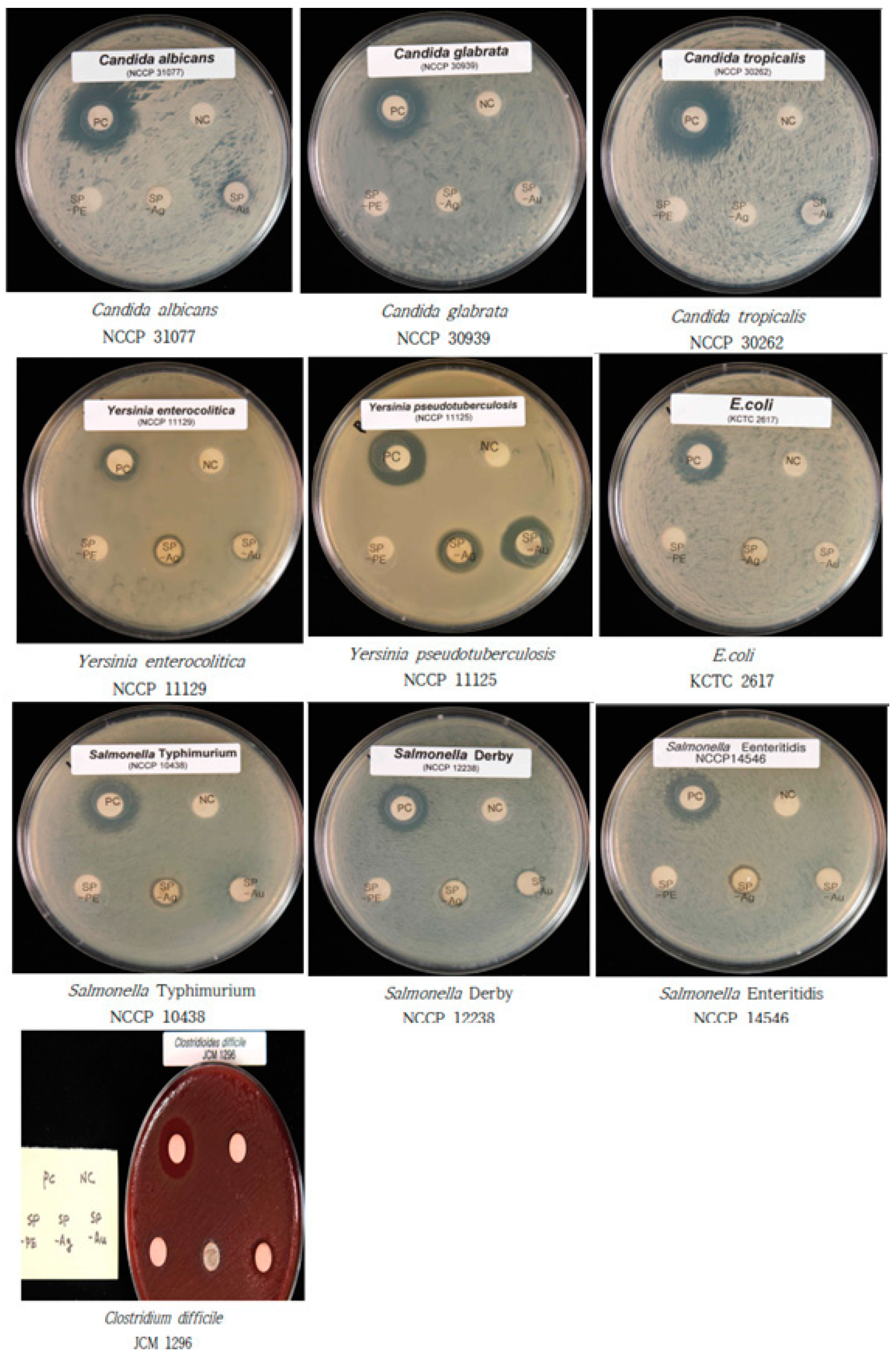 Antibiotics 12 00507 g006 Antibiotics 12 00507 g006
