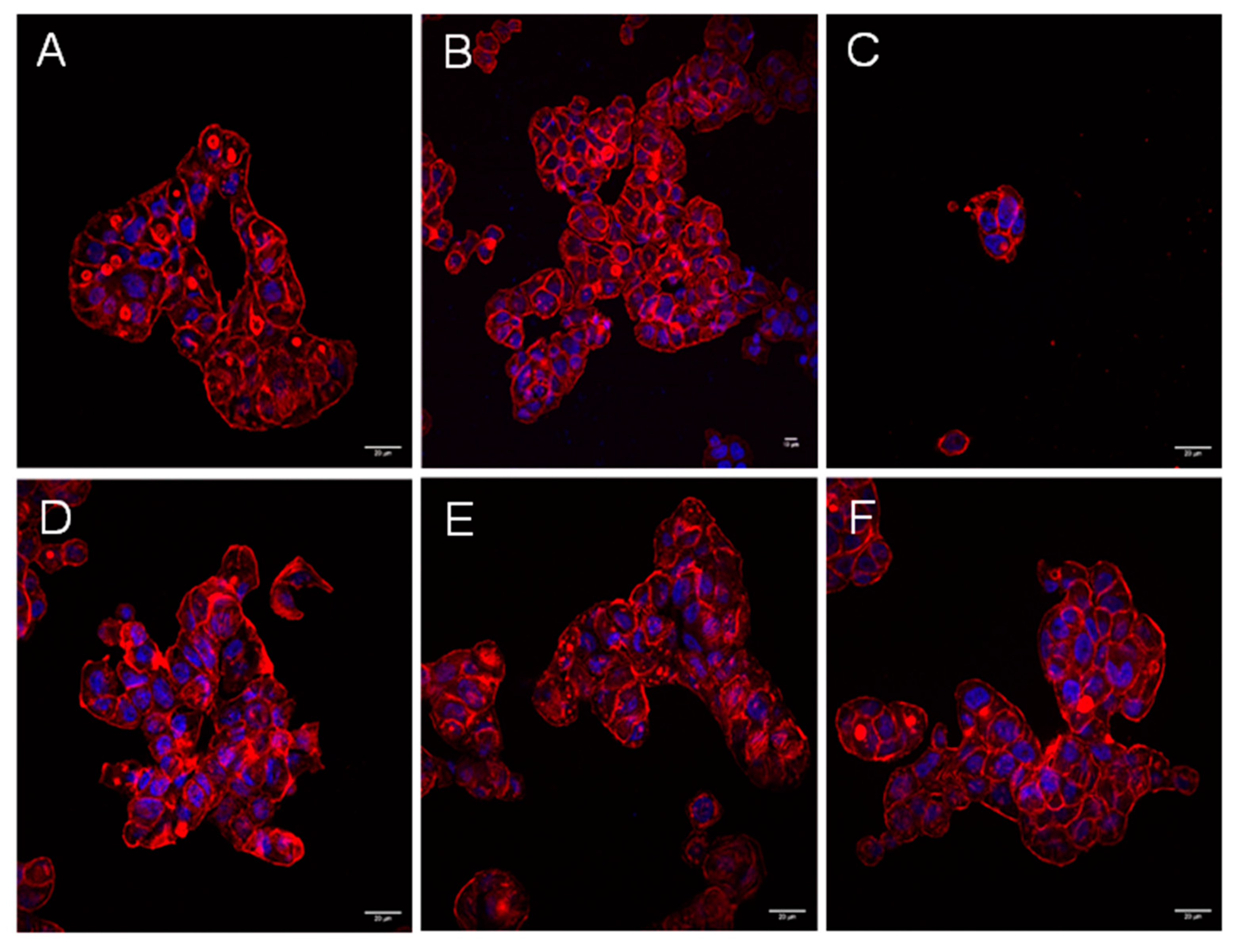 Antibiotics 12 00511 g001 Antibiotics 12 00511 g001