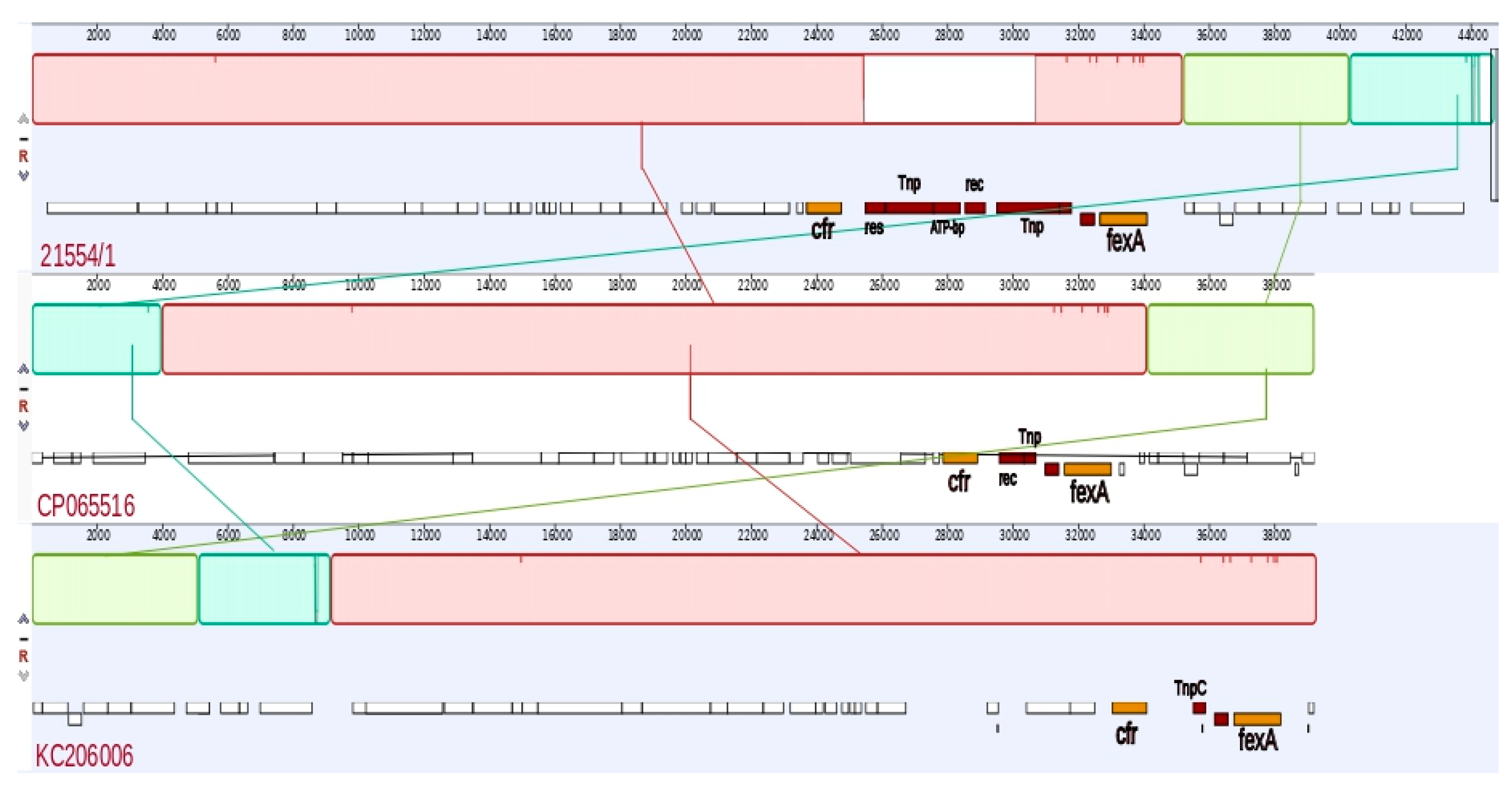 Antibiotics 12 00530 g004 Antibiotics 12 00530 g004