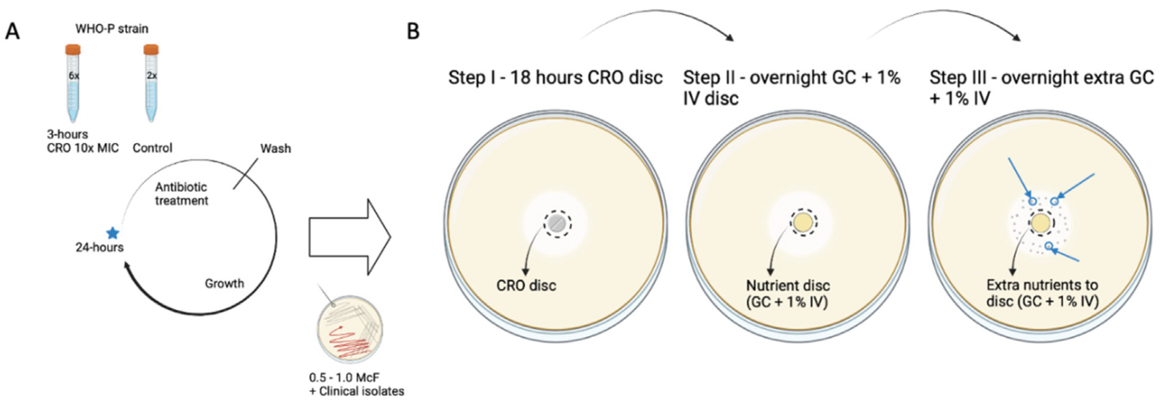Antibiotics 12 00534 g001 Antibiotics 12 00534 g001