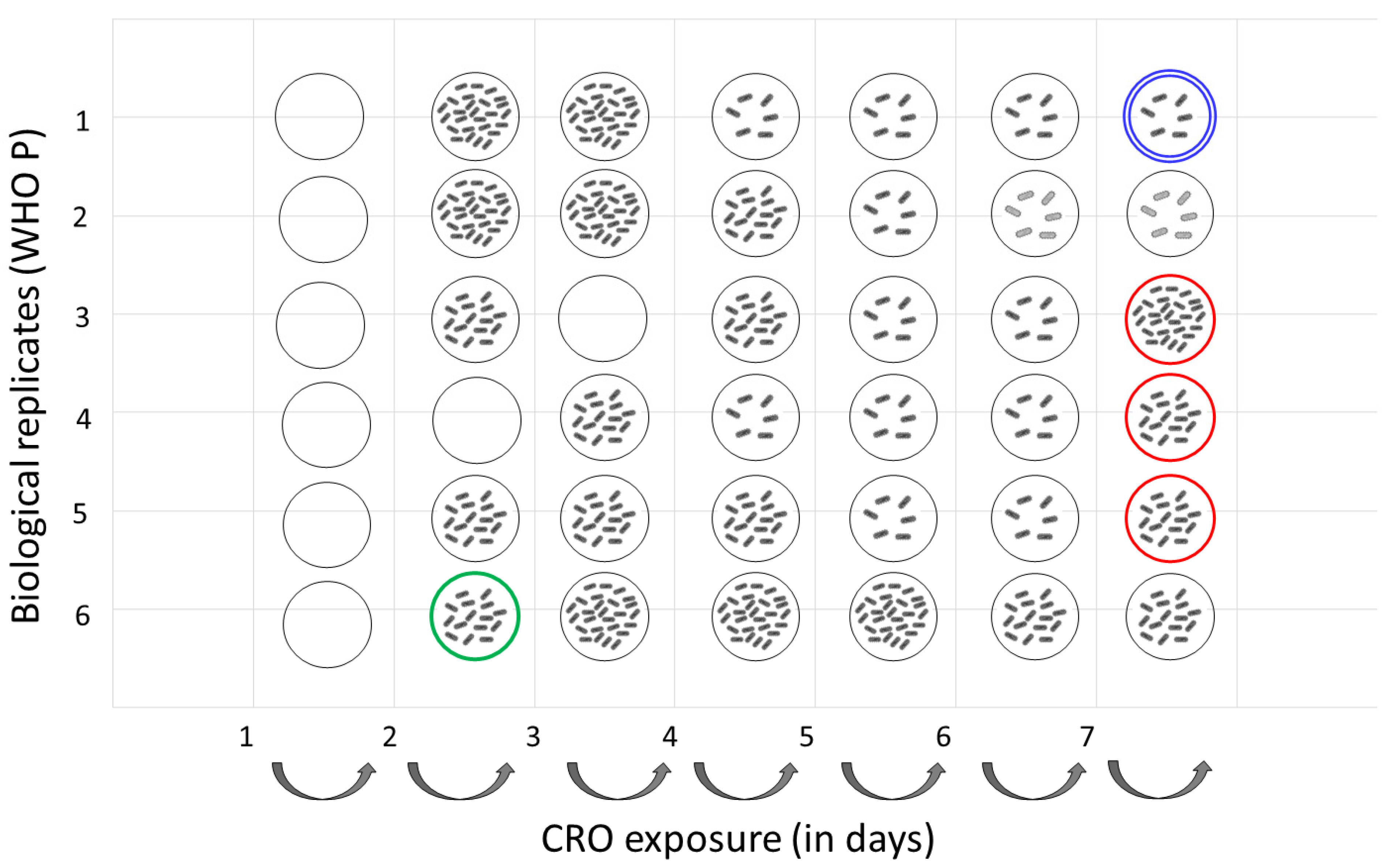Antibiotics 12 00534 g002 Antibiotics 12 00534 g002
