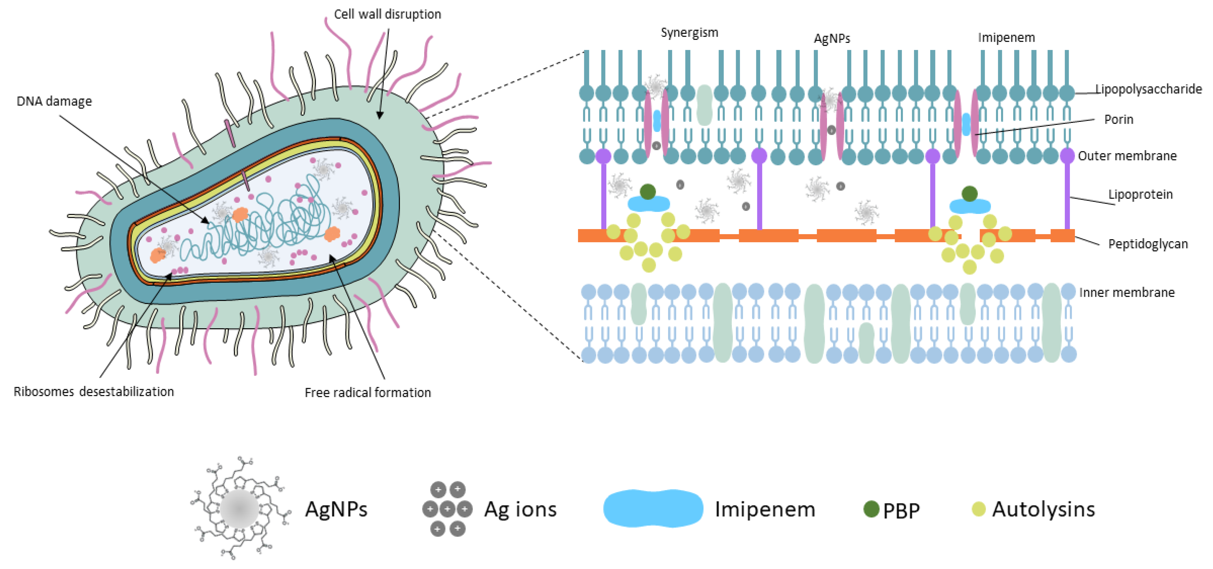 Antibiotics 12 00535 g003 Antibiotics 12 00535 g003
