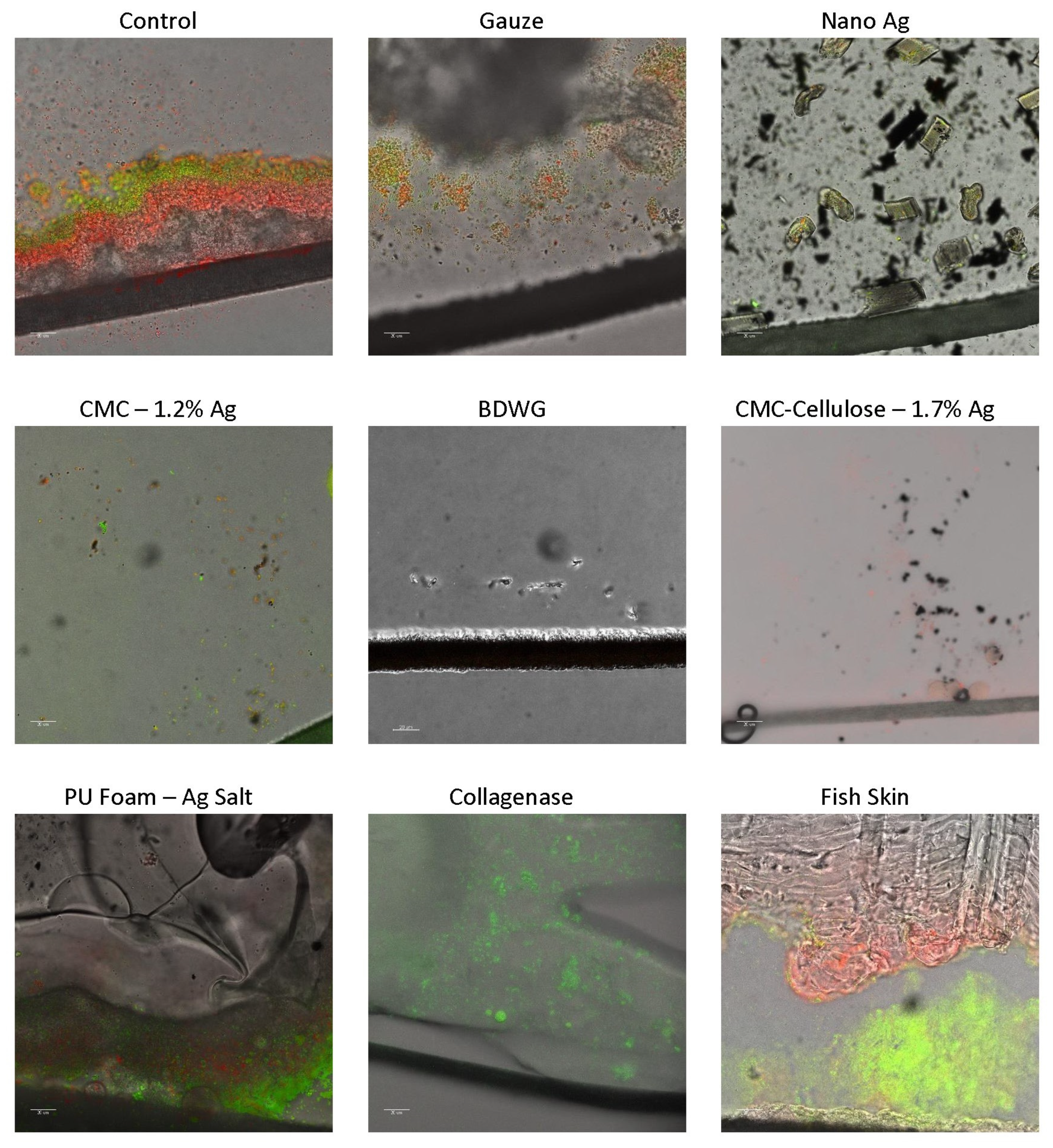 Antibiotics 12 00536 g003 Antibiotics 12 00536 g003