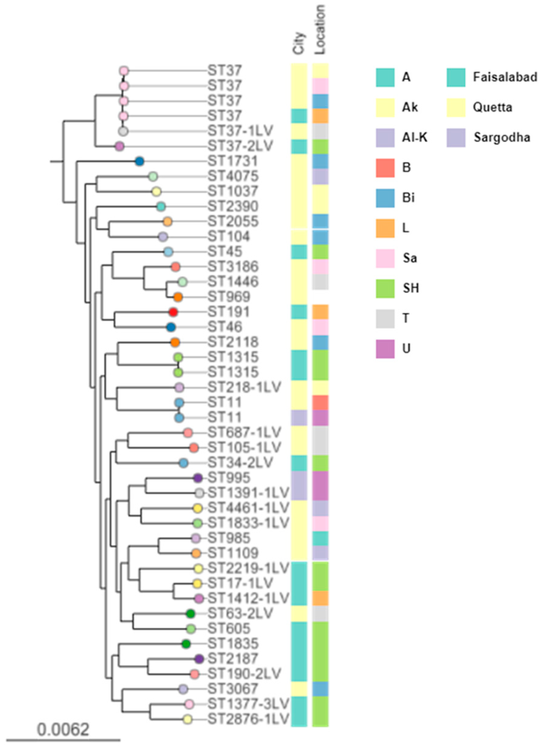 Antibiotics 12 00539 g001