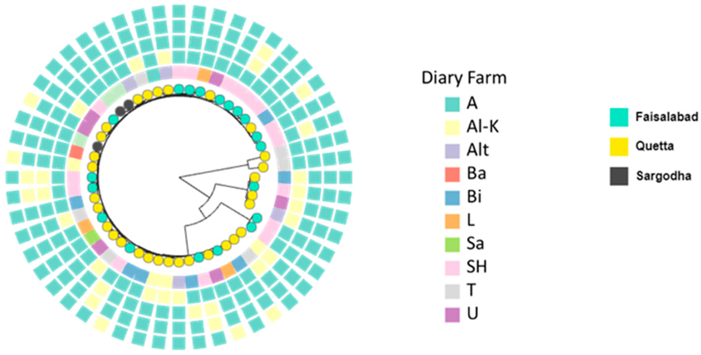 Antibiotics 12 00539 g003