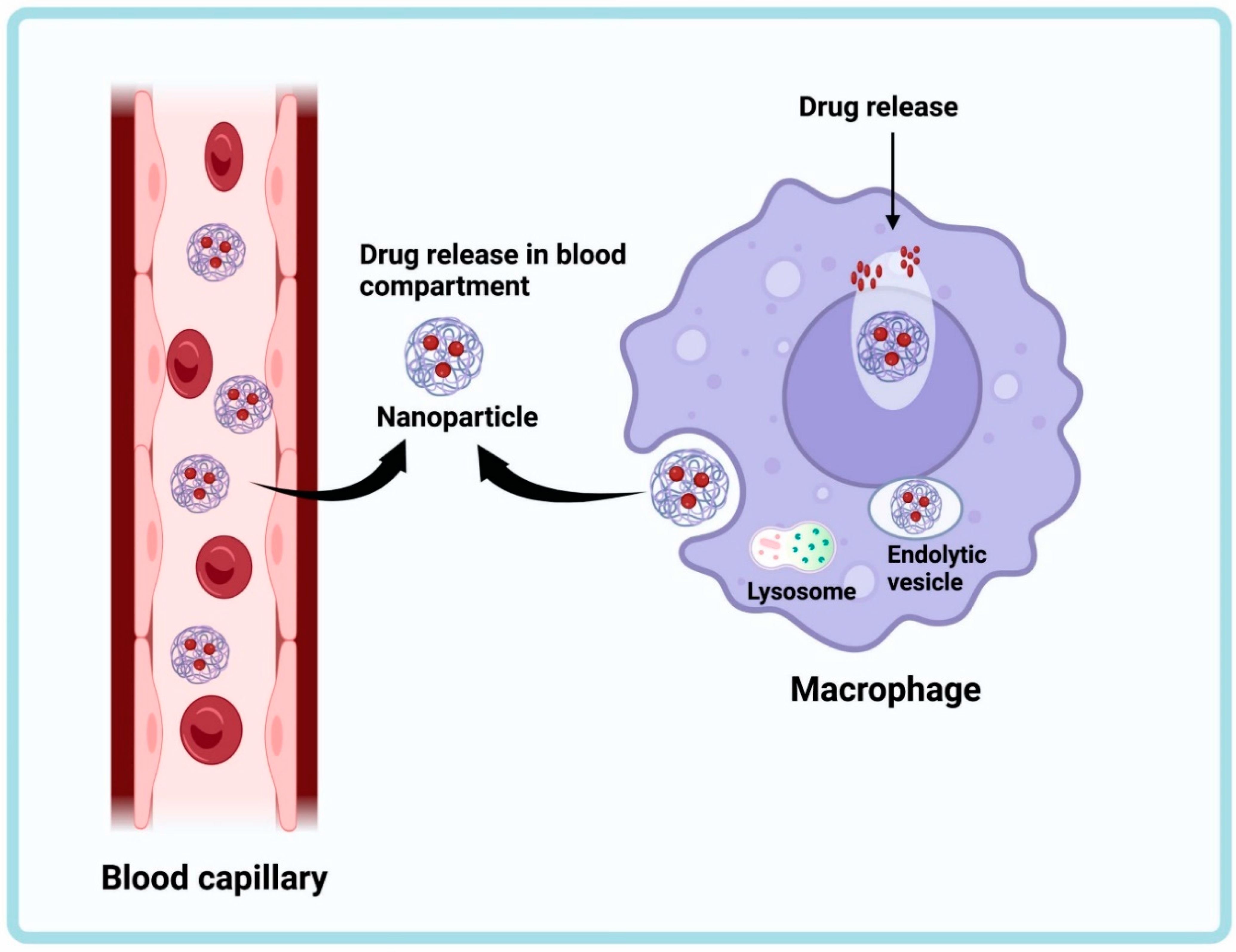 Antibiotics 12 00541 g002