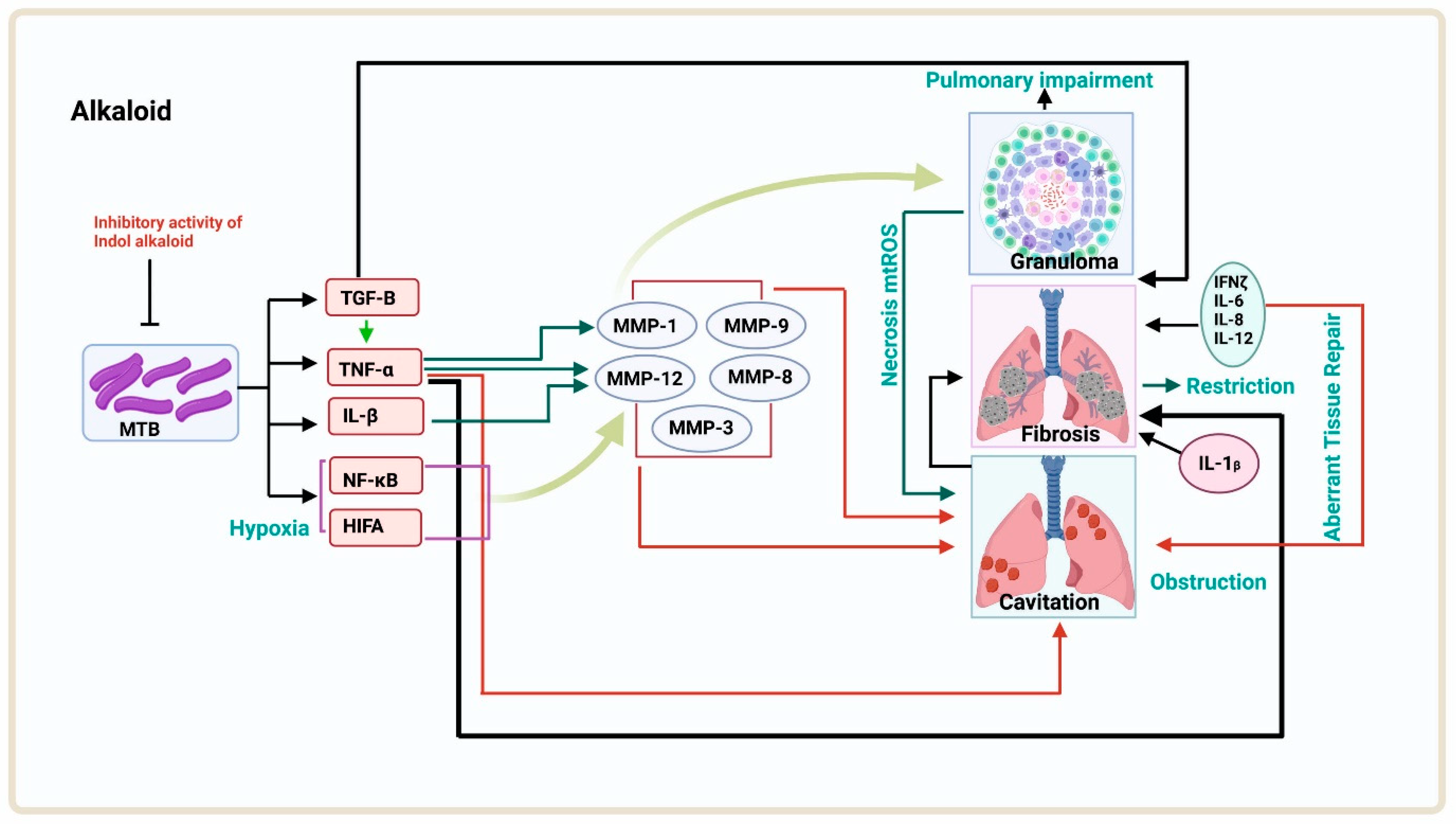 Antibiotics 12 00541 g003