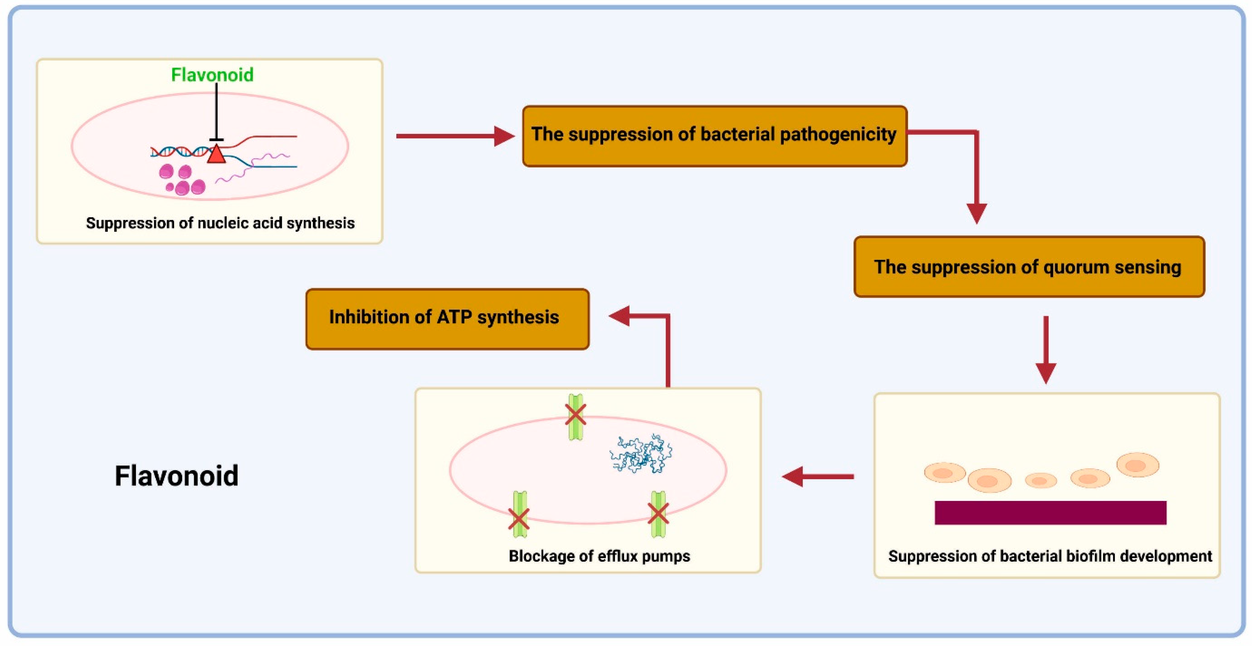 Antibiotics 12 00541 g004