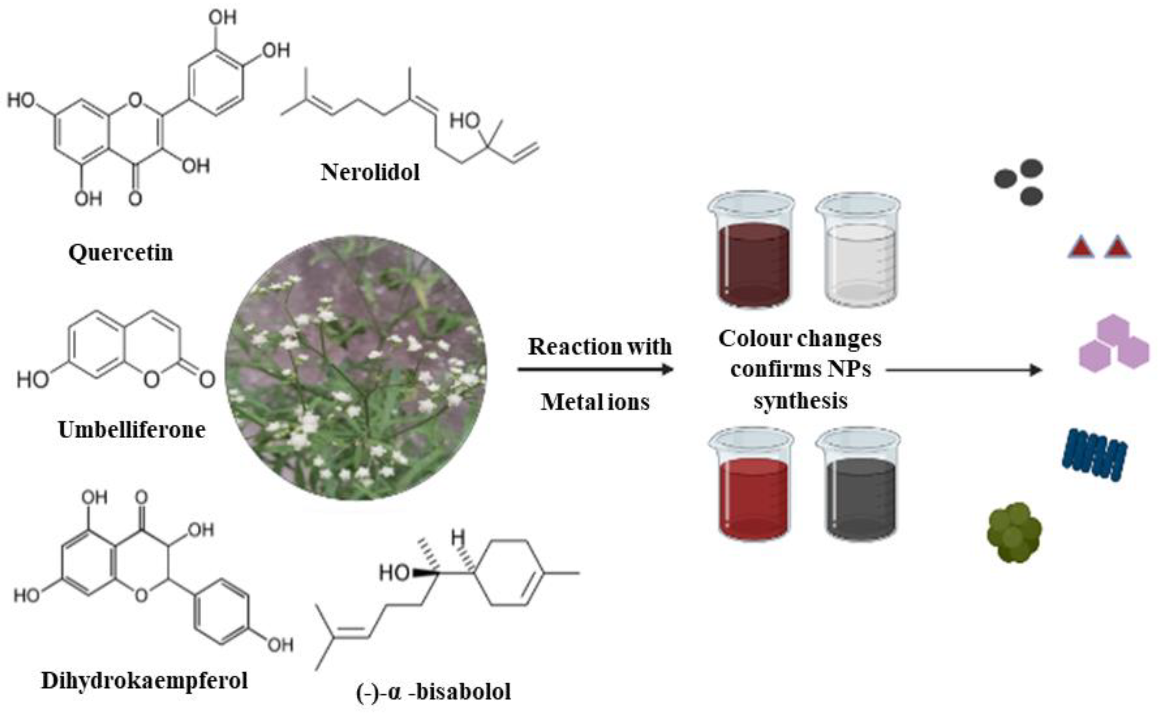 Antibiotics 12 00543 g002