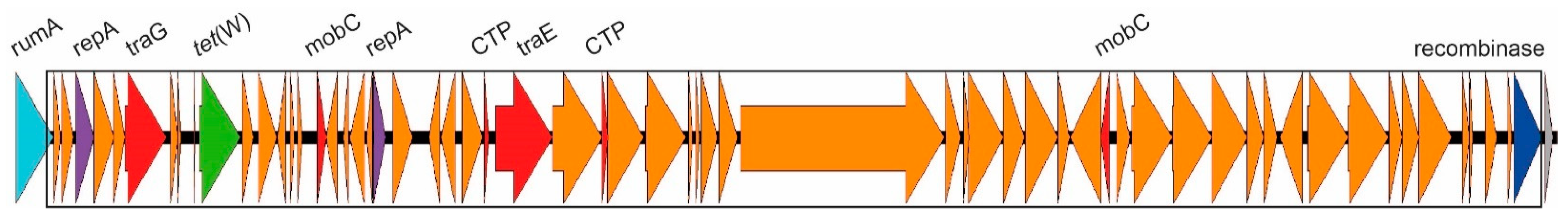 Antibiotics 12 00544 g001 Antibiotics 12 00544 g001