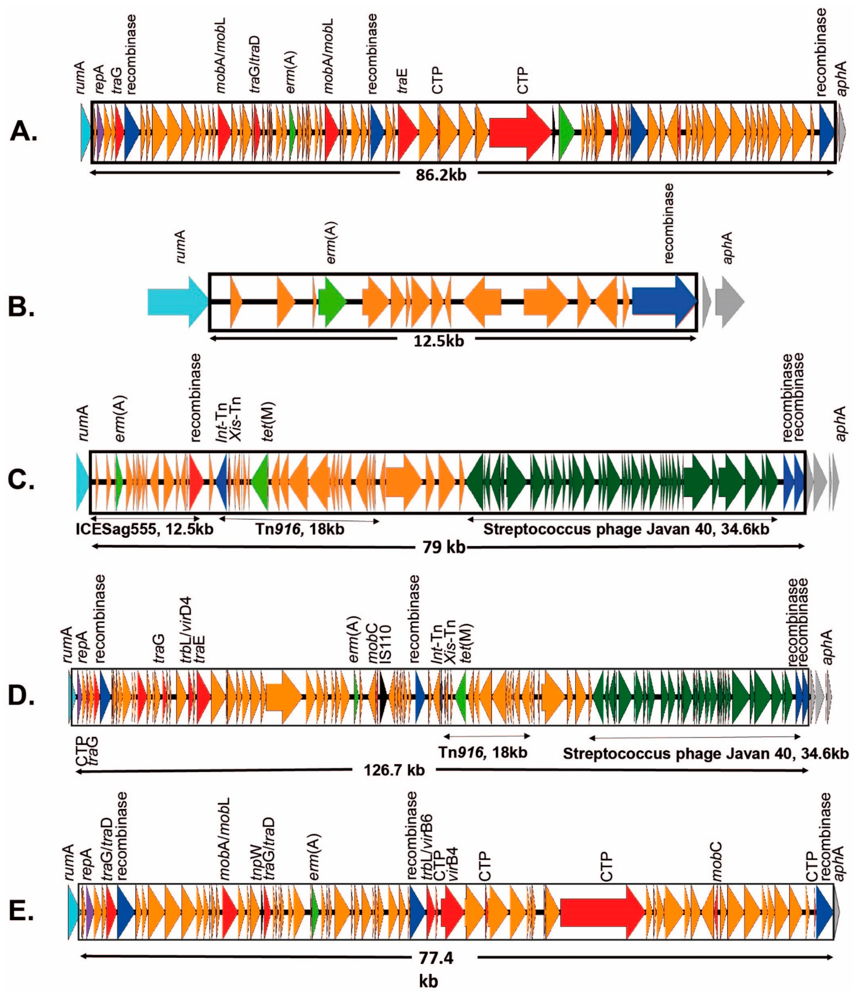 Antibiotics 12 00544 g003 Antibiotics 12 00544 g003