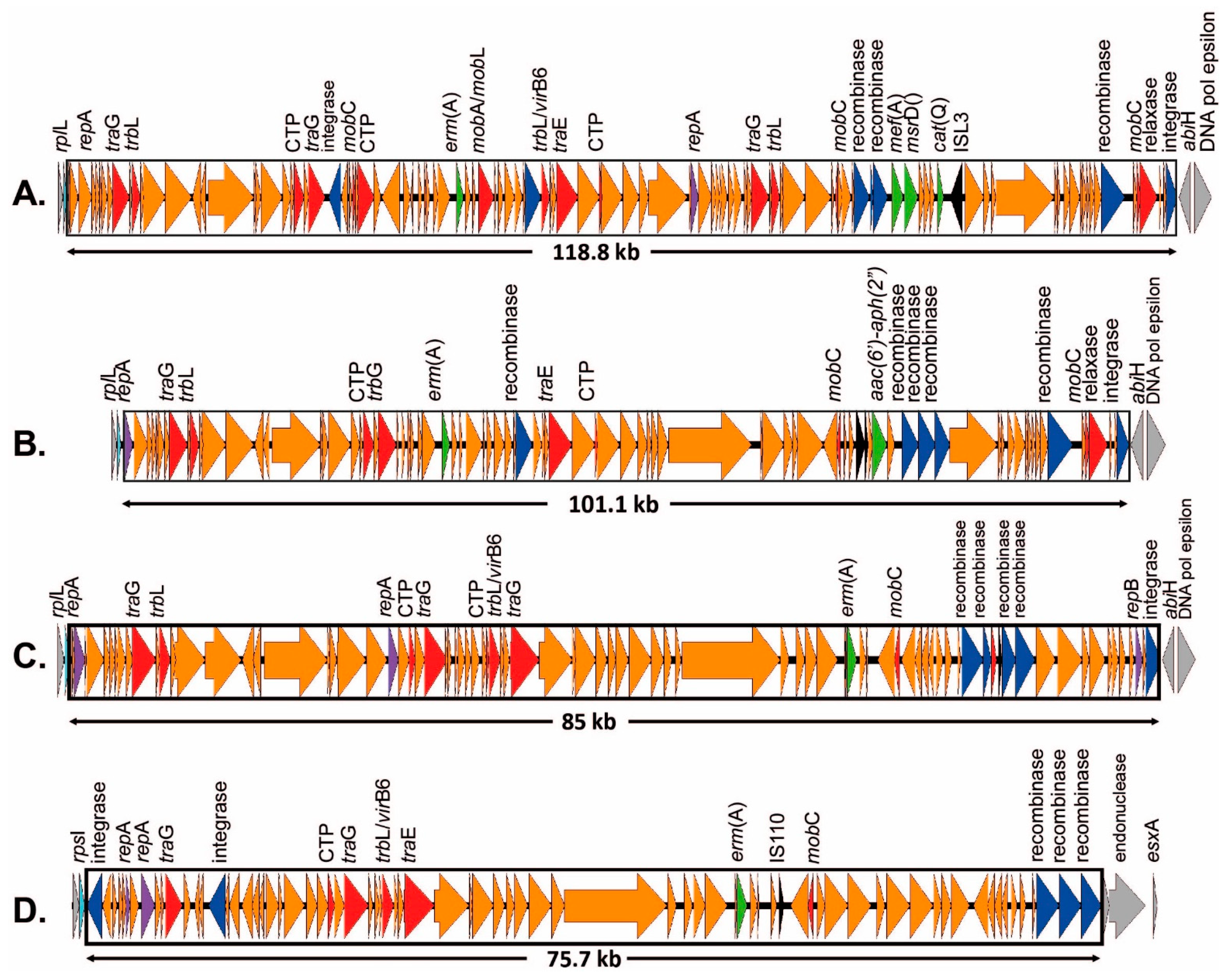 Antibiotics 12 00544 g004 Antibiotics 12 00544 g004