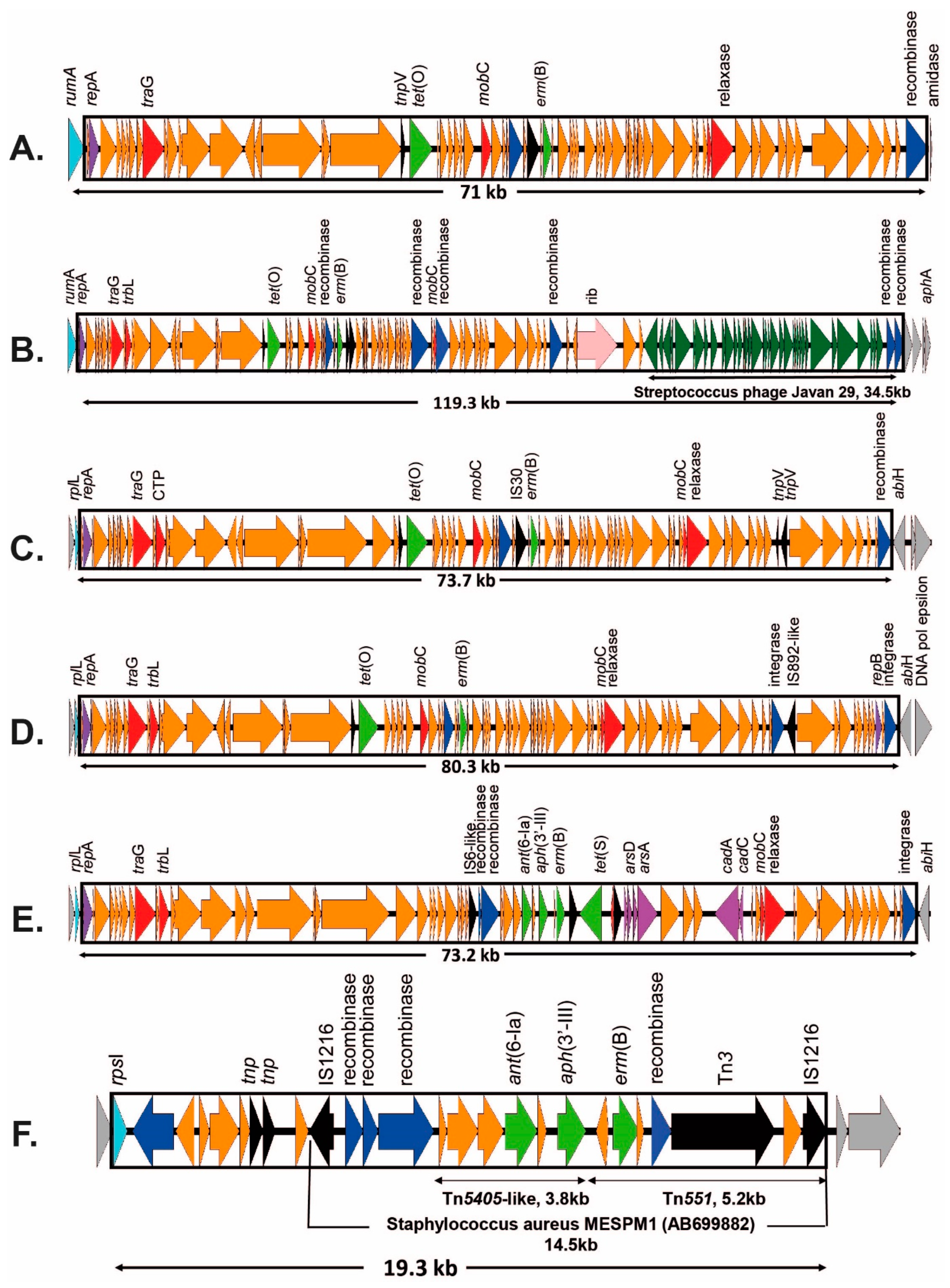 Antibiotics 12 00544 g005 Antibiotics 12 00544 g005