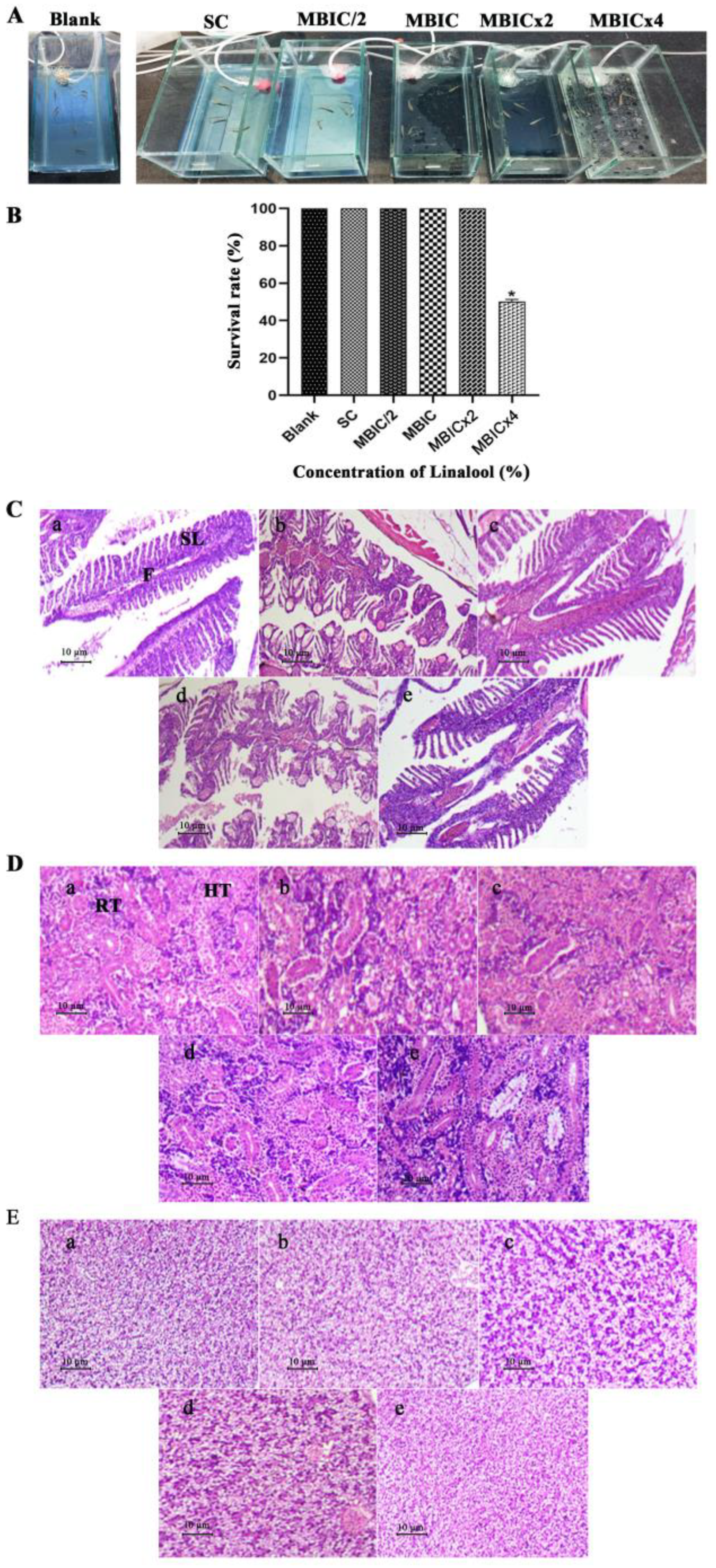 Antibiotics 12 00545 g008 Antibiotics 12 00545 g008