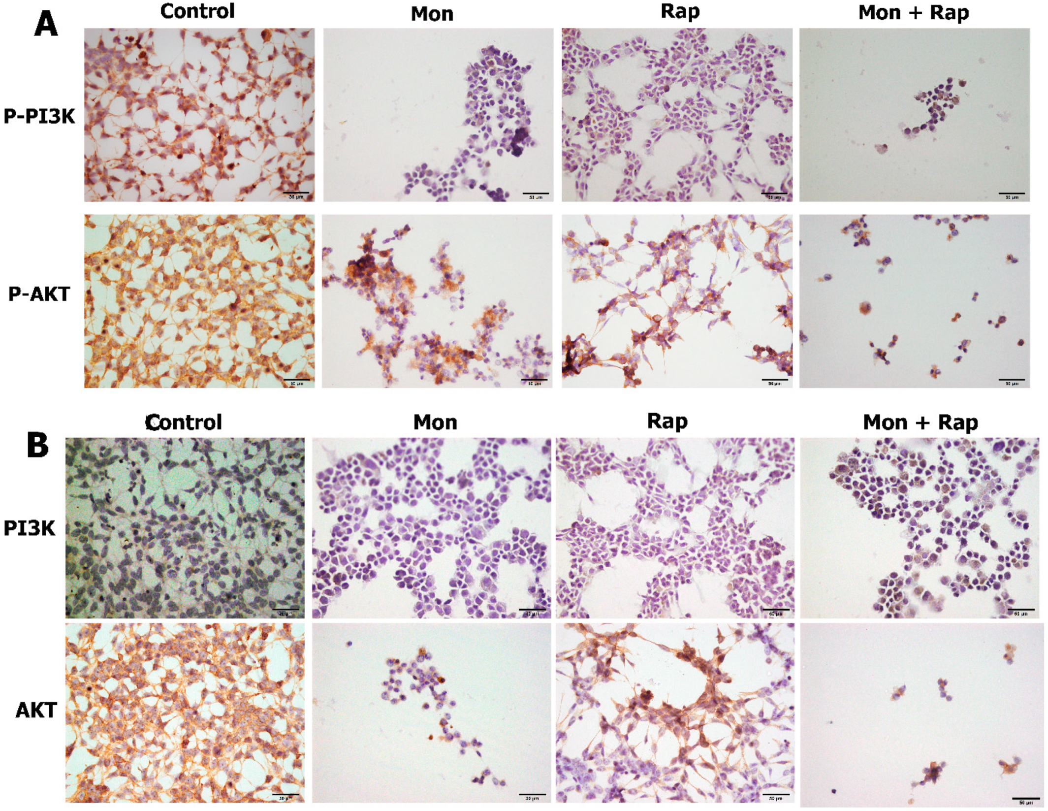 Antibiotics 12 00546 g003 Antibiotics 12 00546 g003