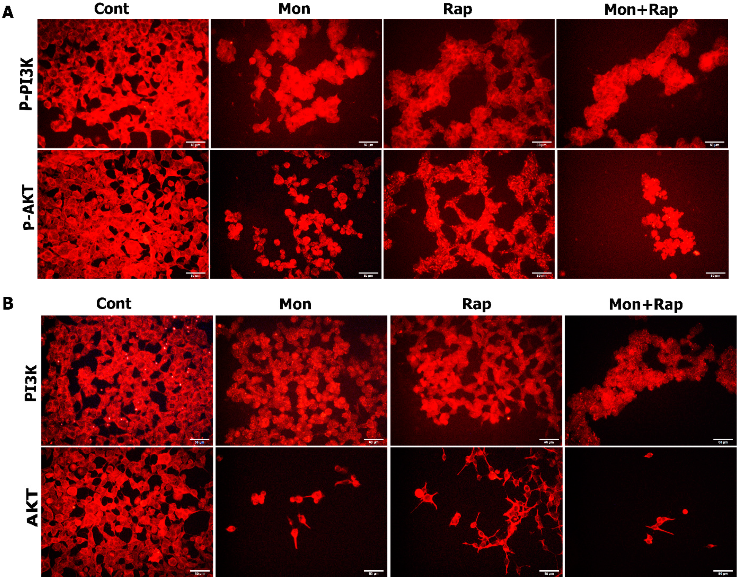 Antibiotics 12 00546 g005 Antibiotics 12 00546 g005
