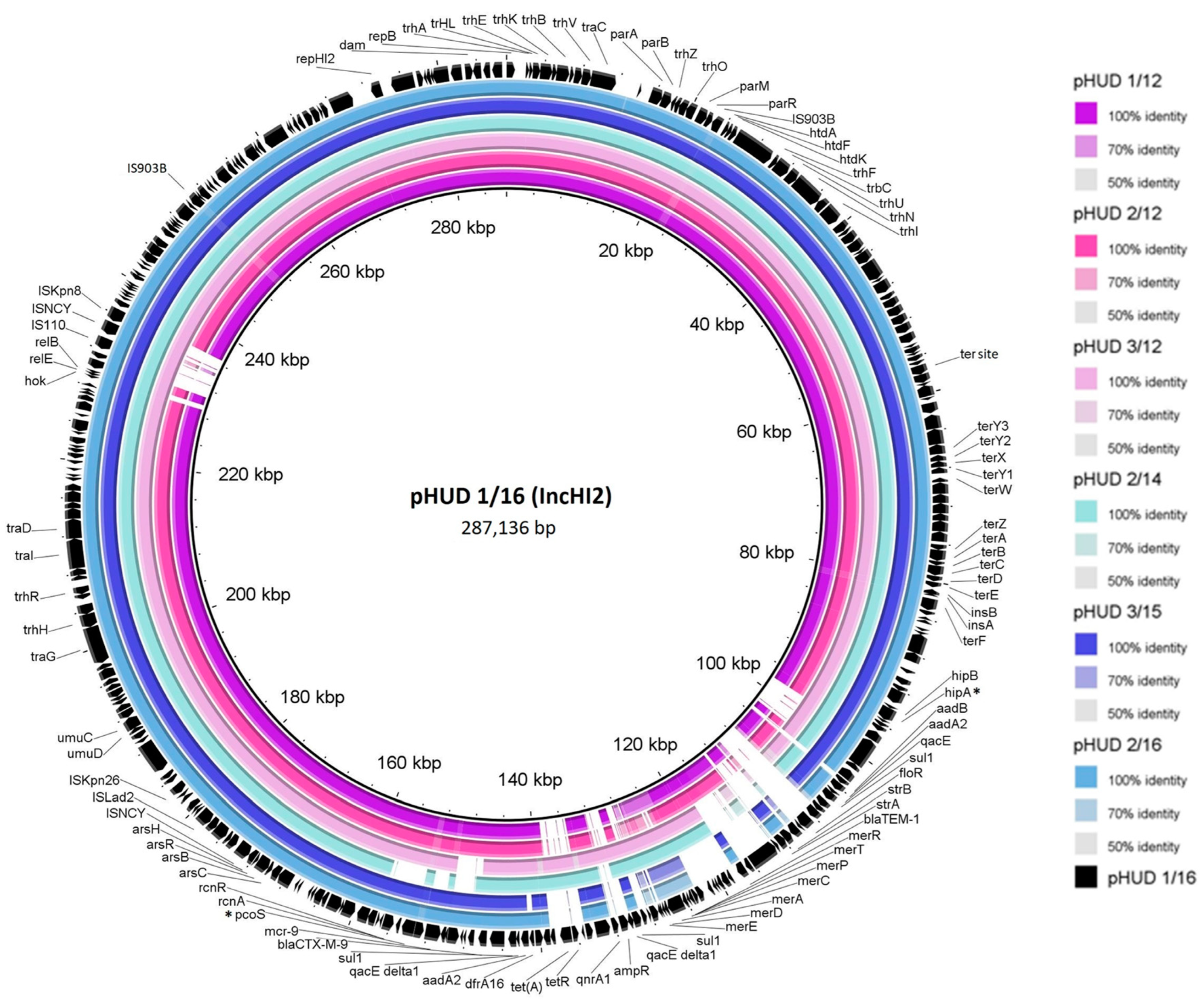 Antibiotics 12 00547 g001 Antibiotics 12 00547 g001