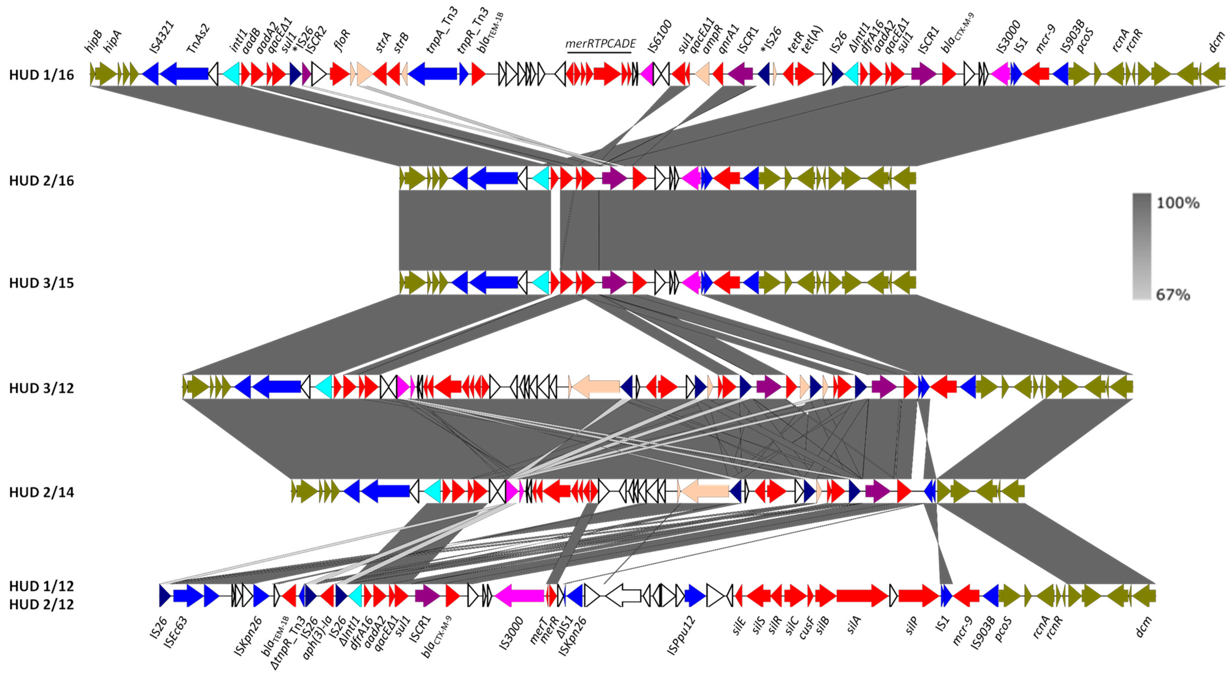 Antibiotics 12 00547 g002 Antibiotics 12 00547 g002