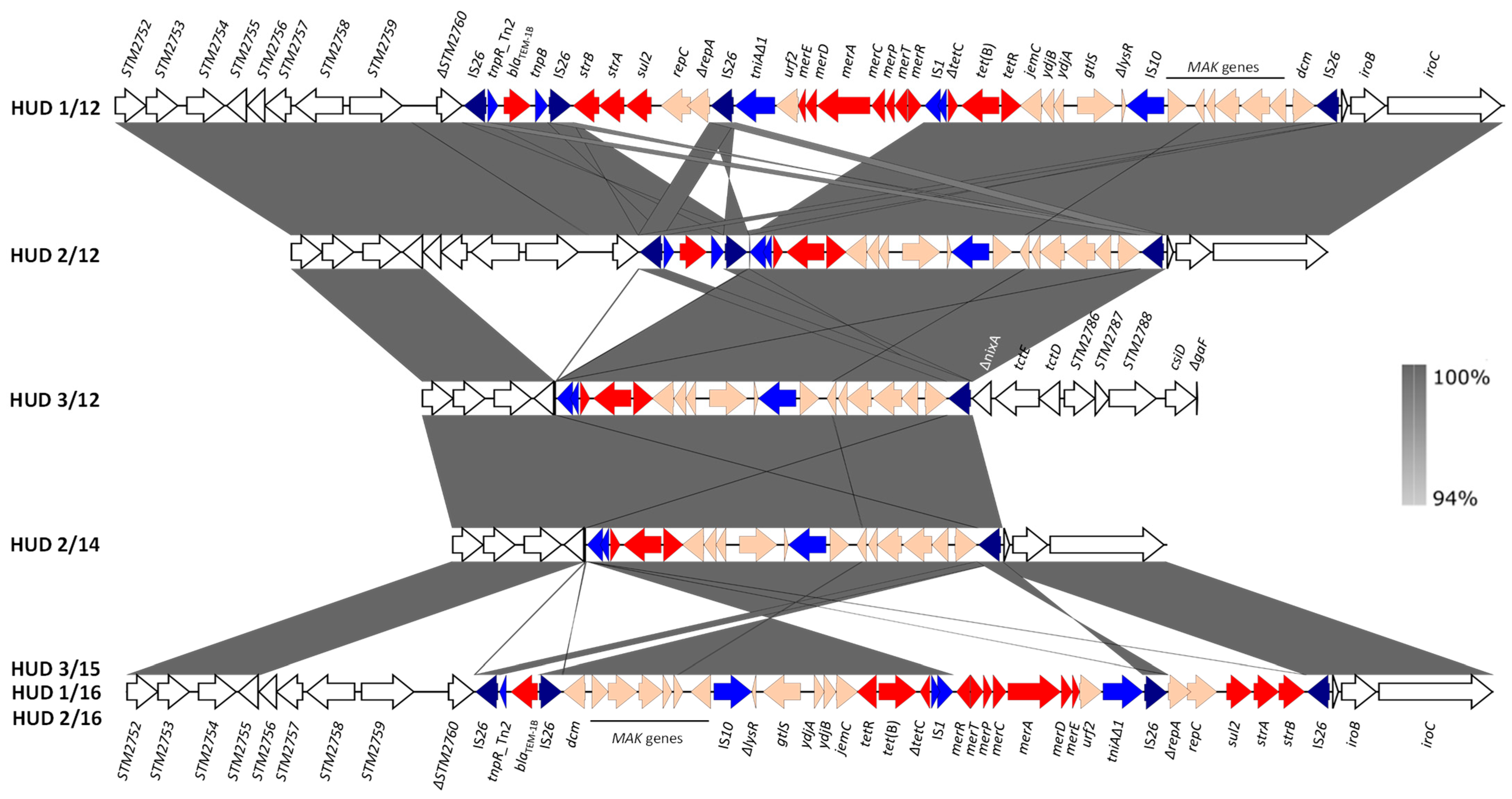 Antibiotics 12 00547 g003 Antibiotics 12 00547 g003