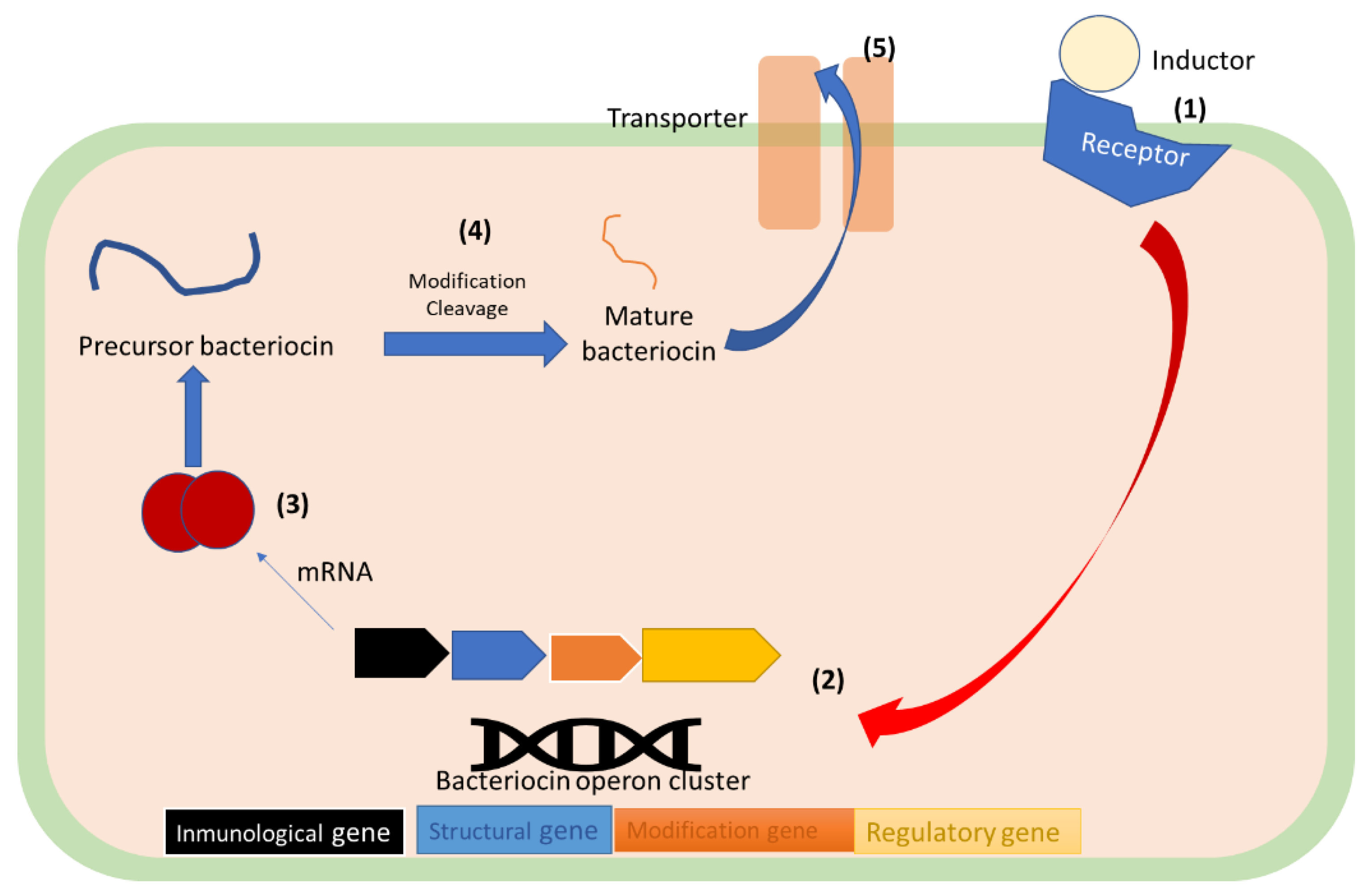 Antibiotics 12 00550 g003 Antibiotics 12 00550 g003